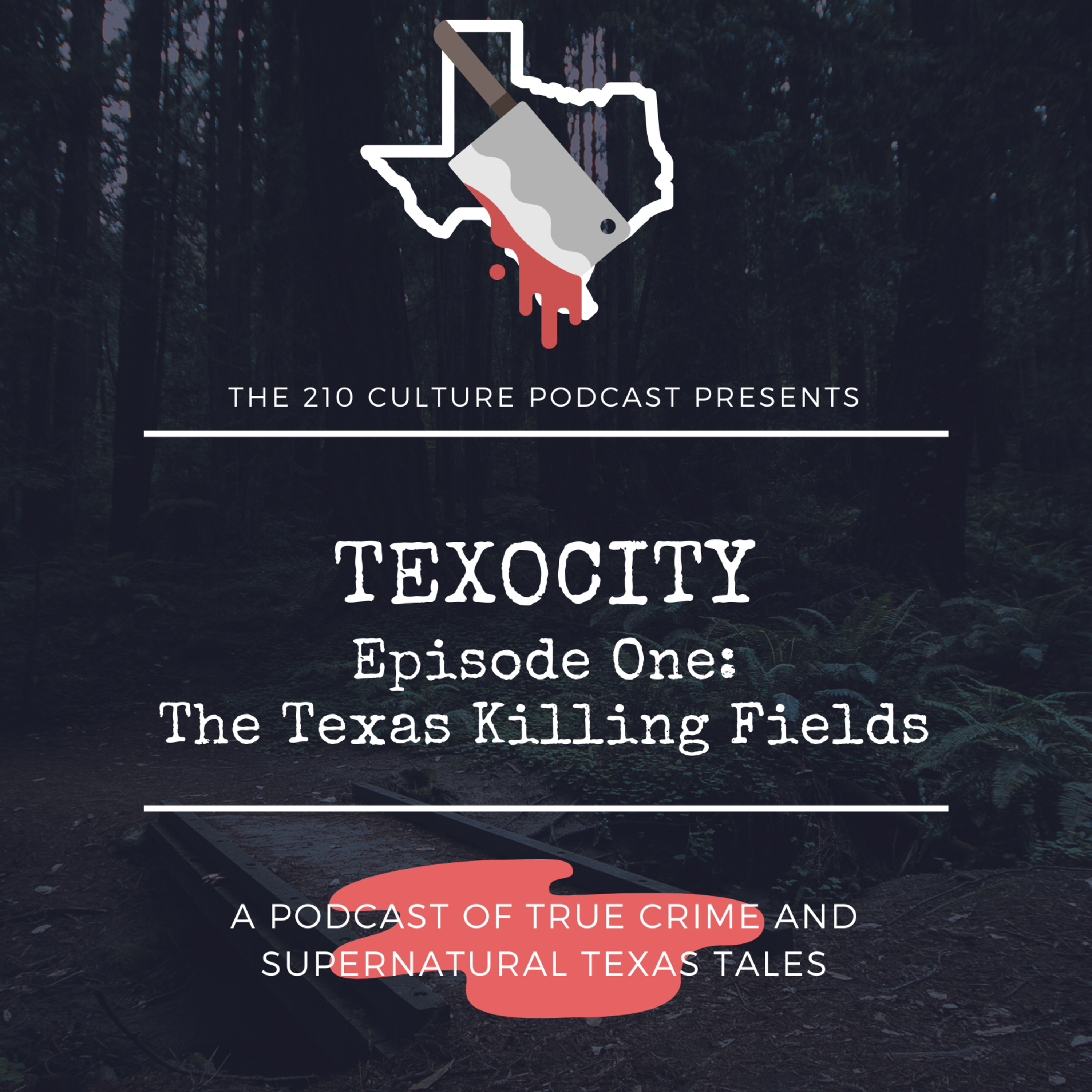 Texocity
