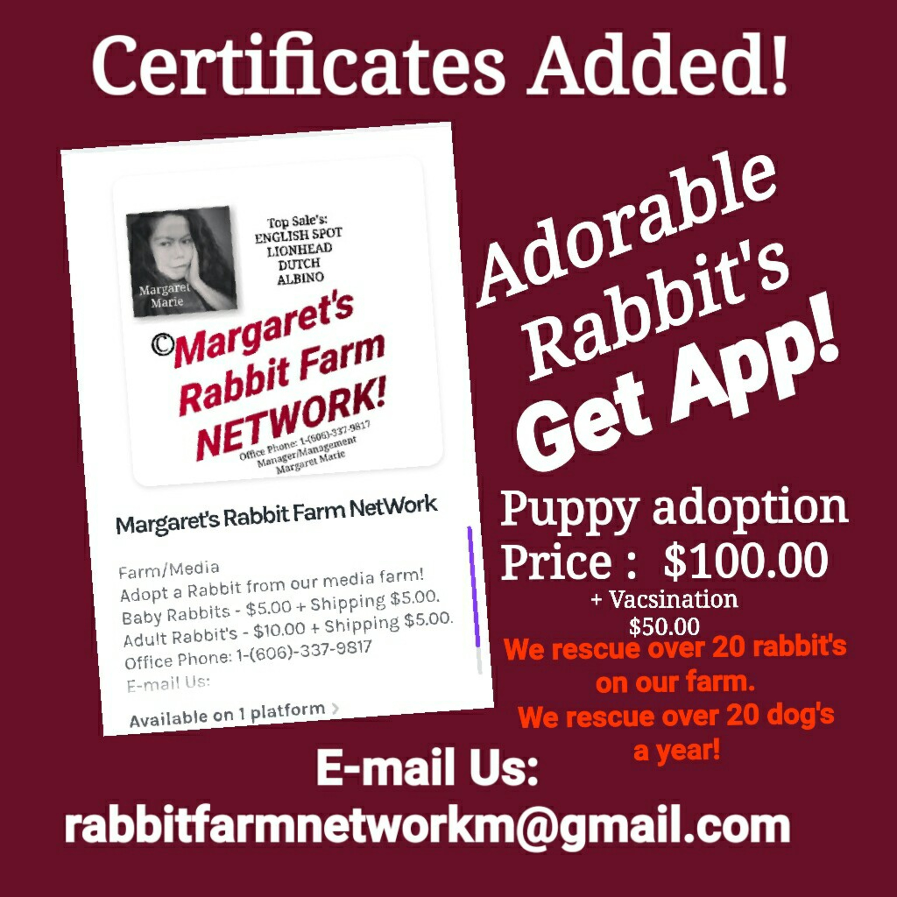 Margaret's Rabbit Farm NetWork