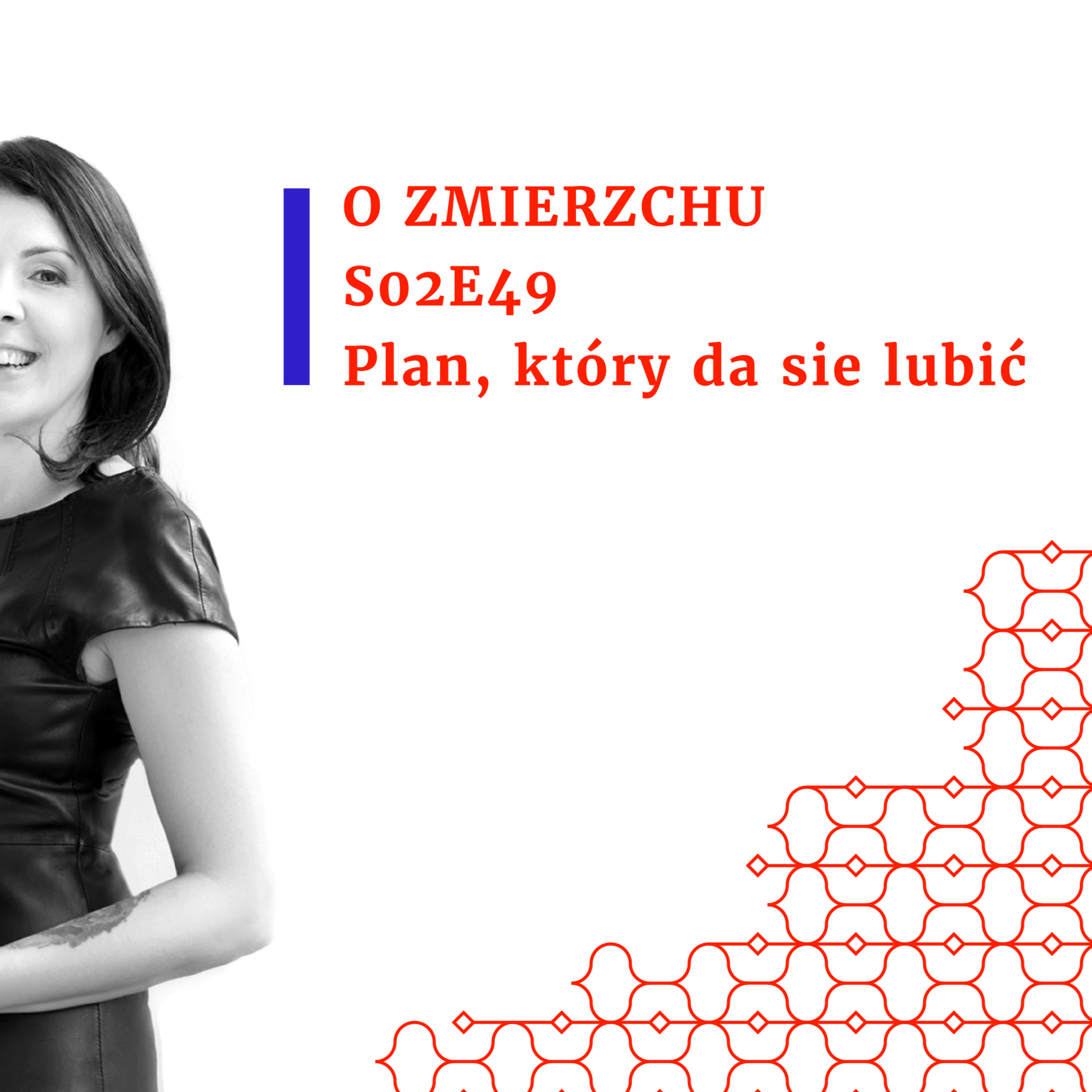 S02E49 Plan, który da się lubić - O Zmierzchu