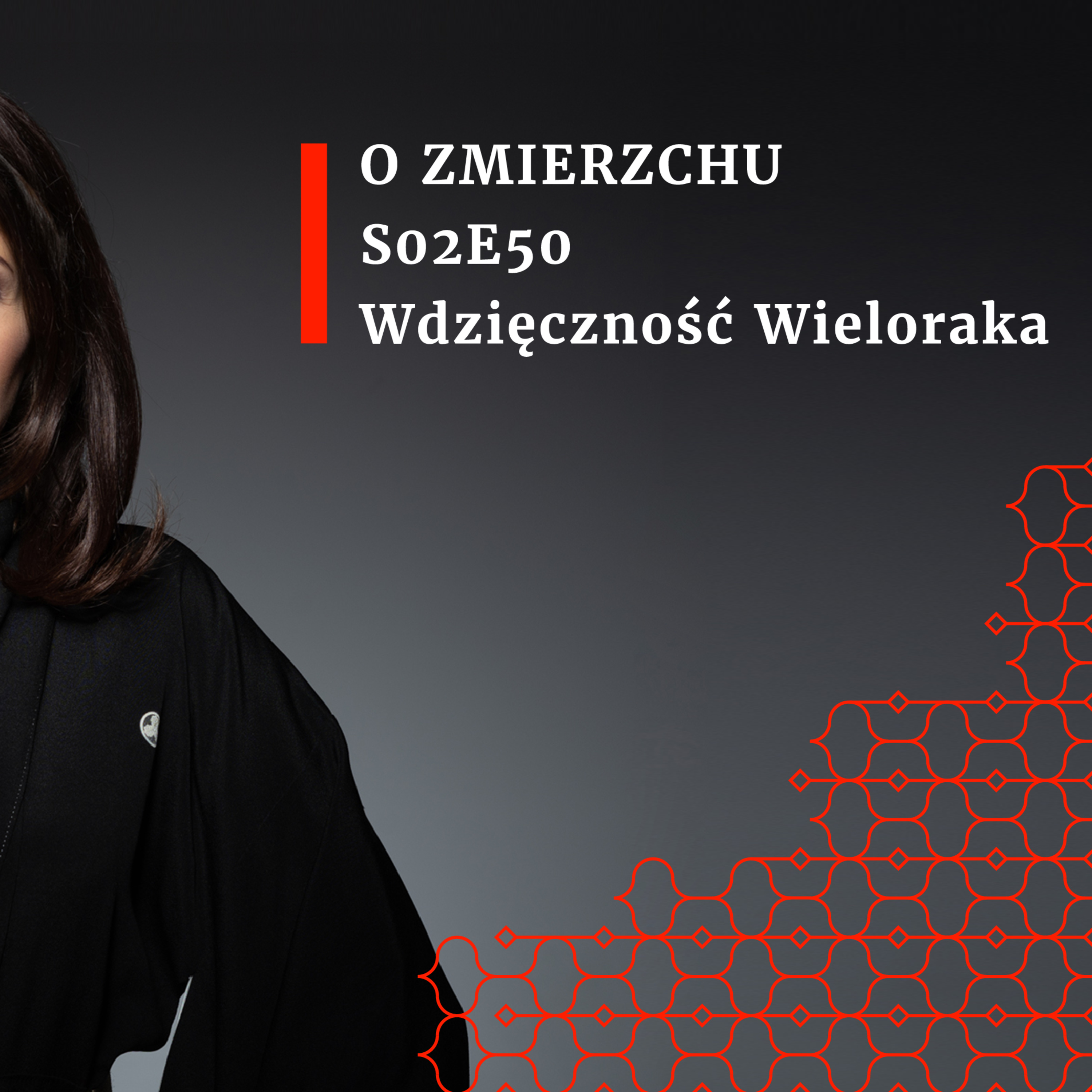 S02E50 Wdzięczność Wieloraka - O Zmierzchu