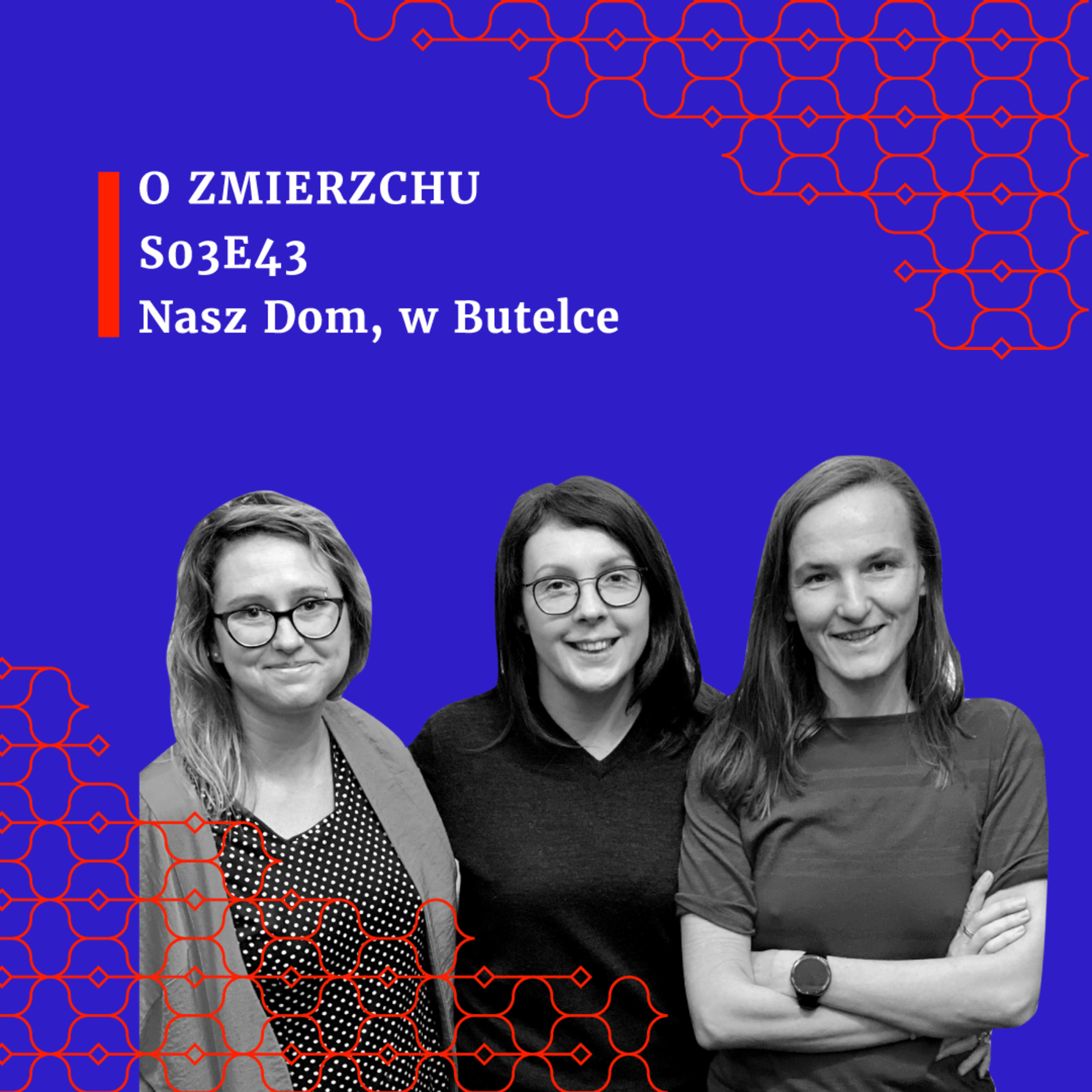 S03E43 Nasz dom, w butelce - O Zmierzchu