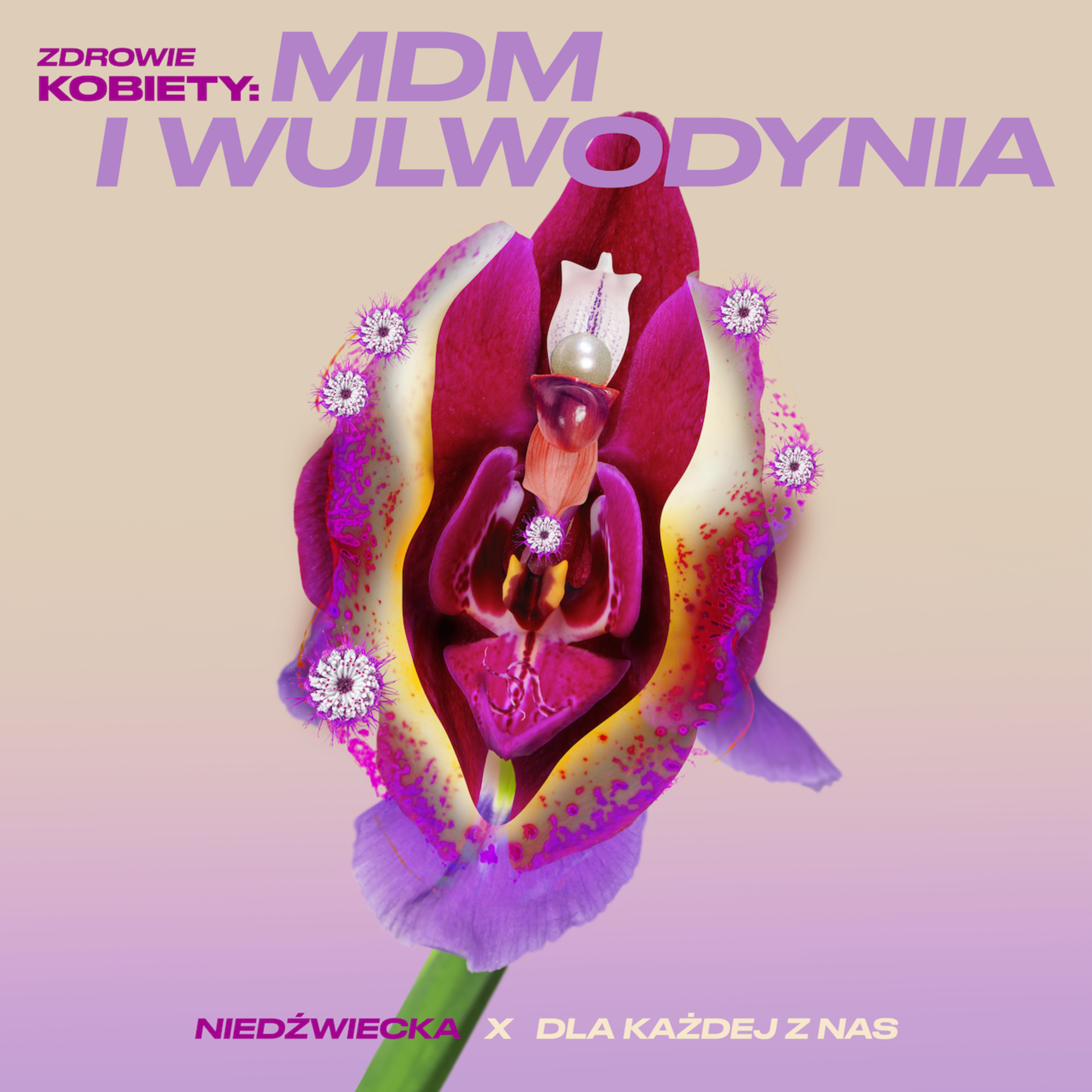 MDM i Wulwodynia – Zdrowie Kobiety