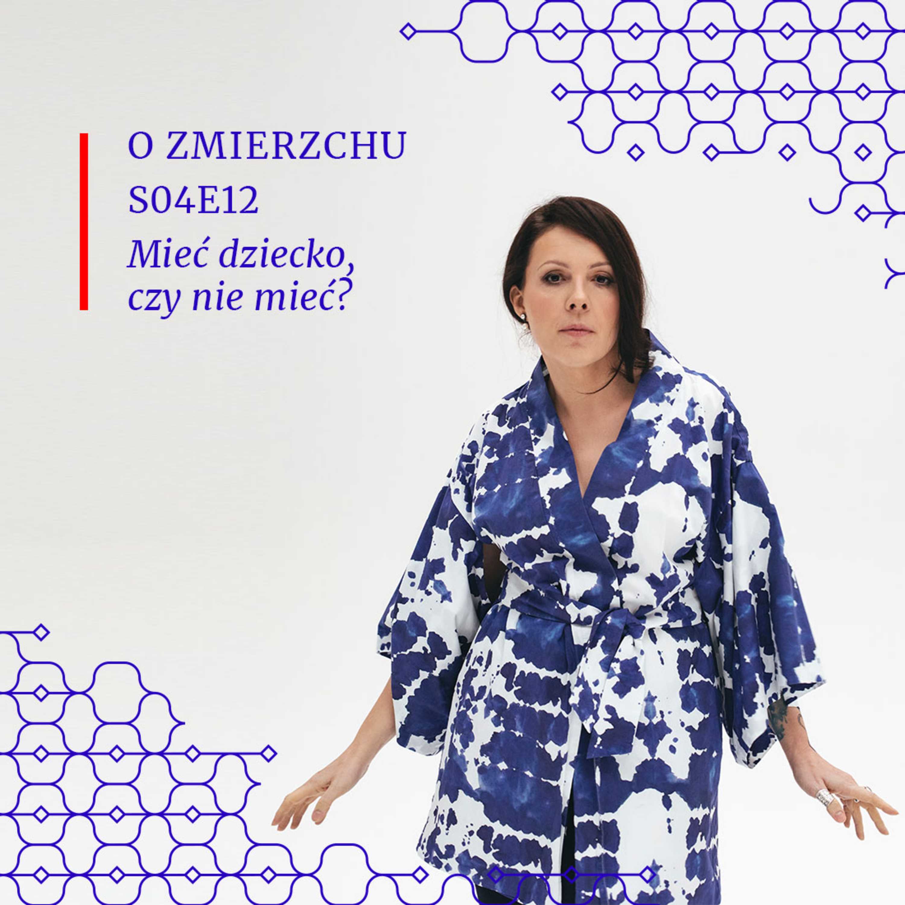 S04E12 Mieć dziecko, czy nie mieć? - O Zmierzchu