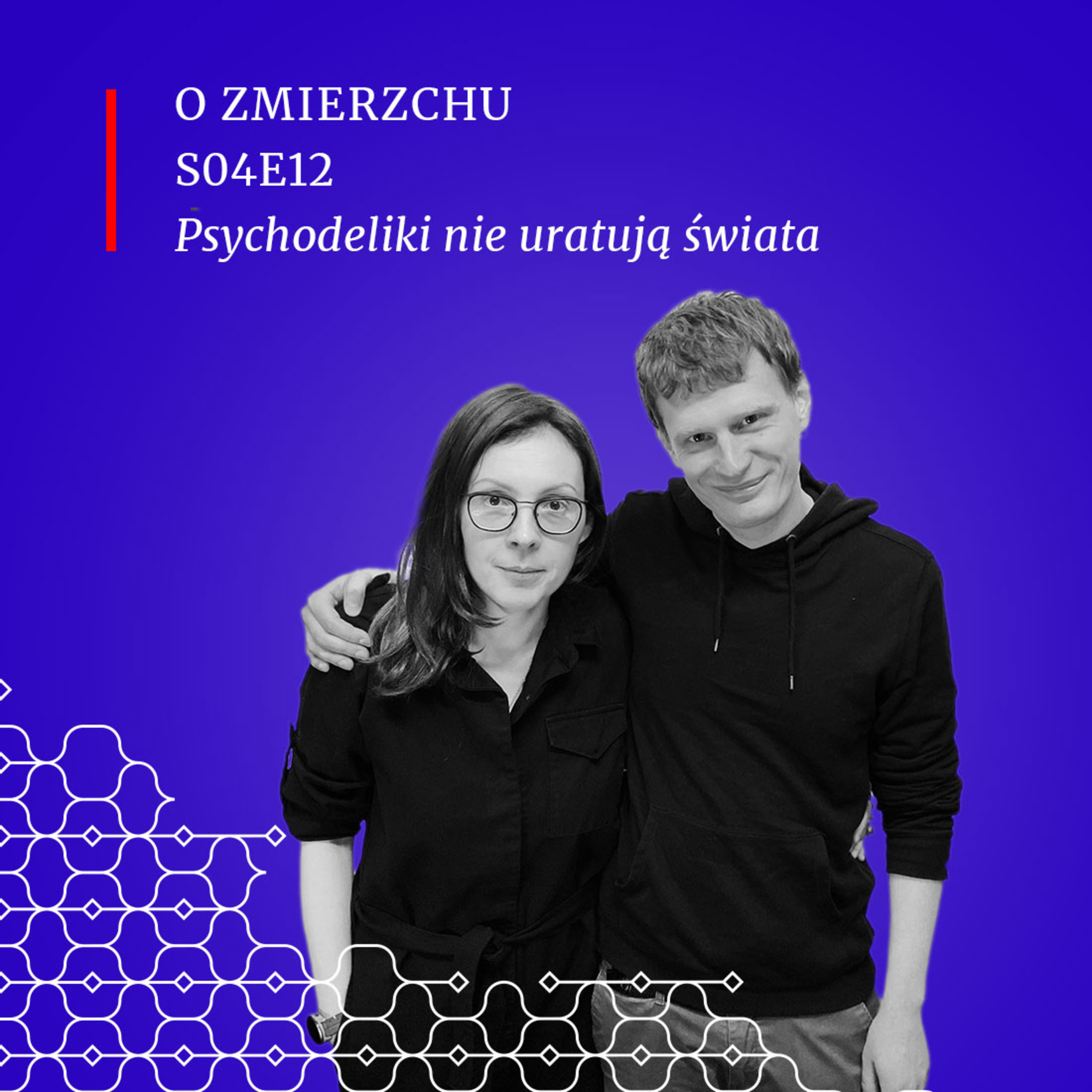 S04E22 Psychodeliki nie uratują świata - O Zmierzchu