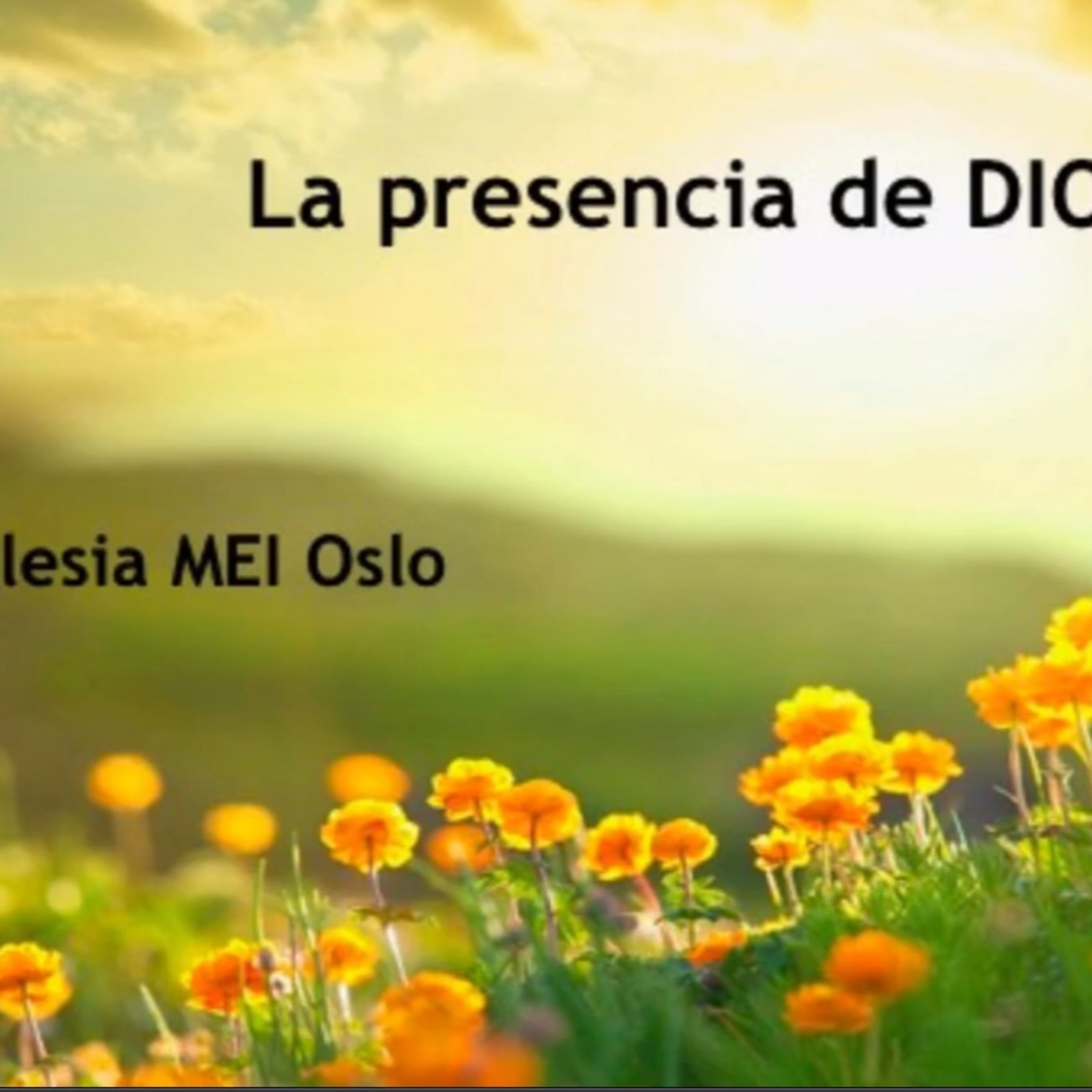 Misión Evangélica Internacional