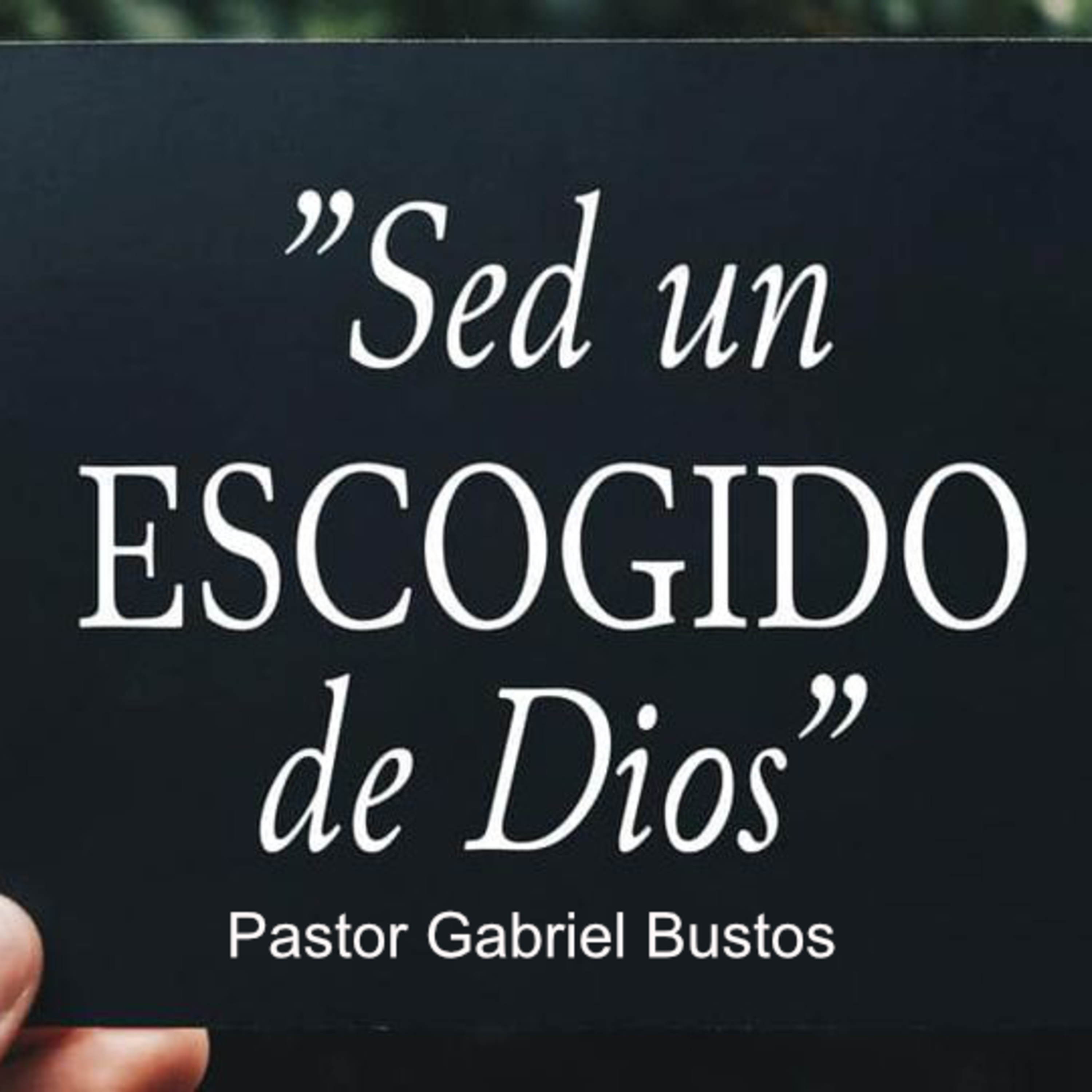 Misión Evangélica Internacional