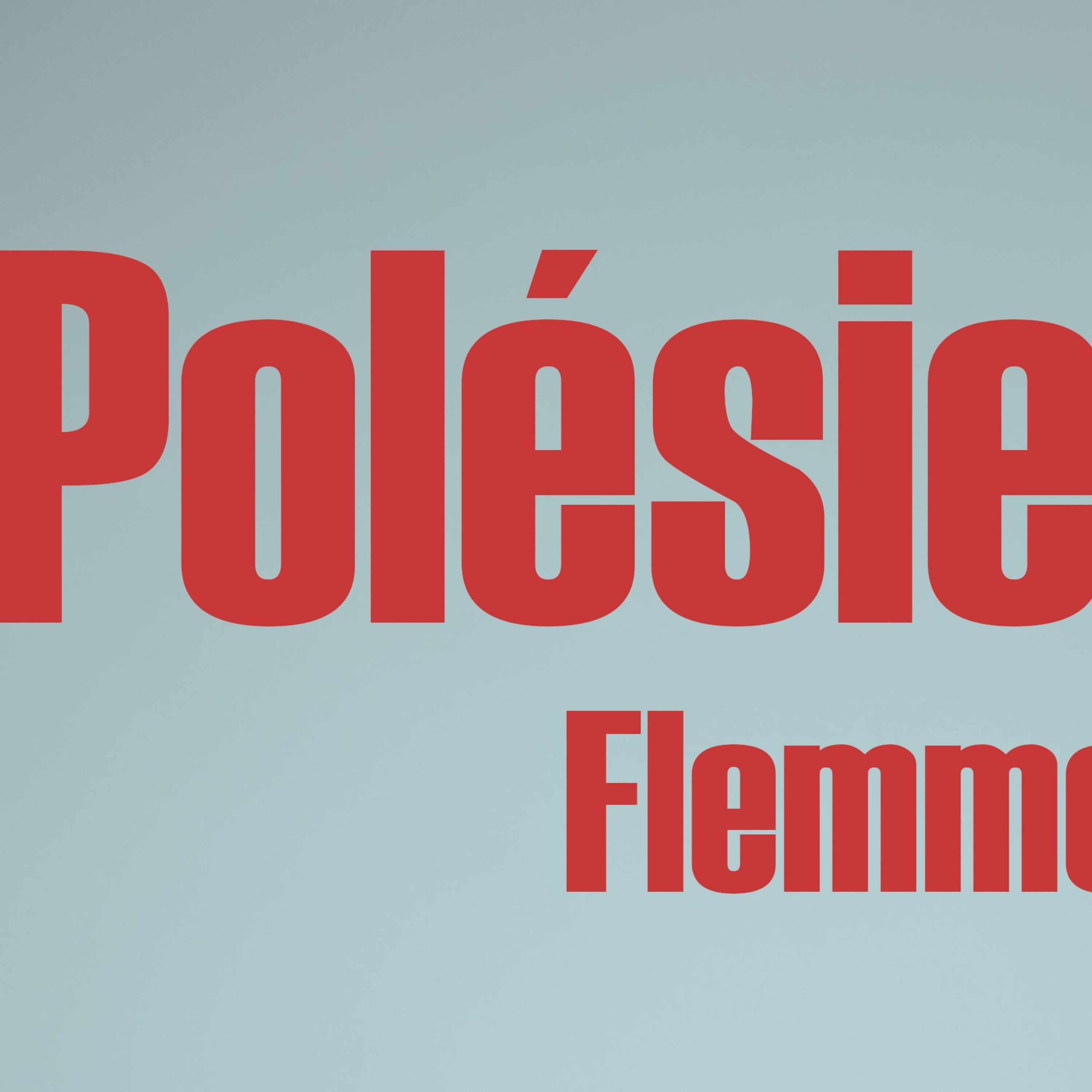 Flemme episode artwork