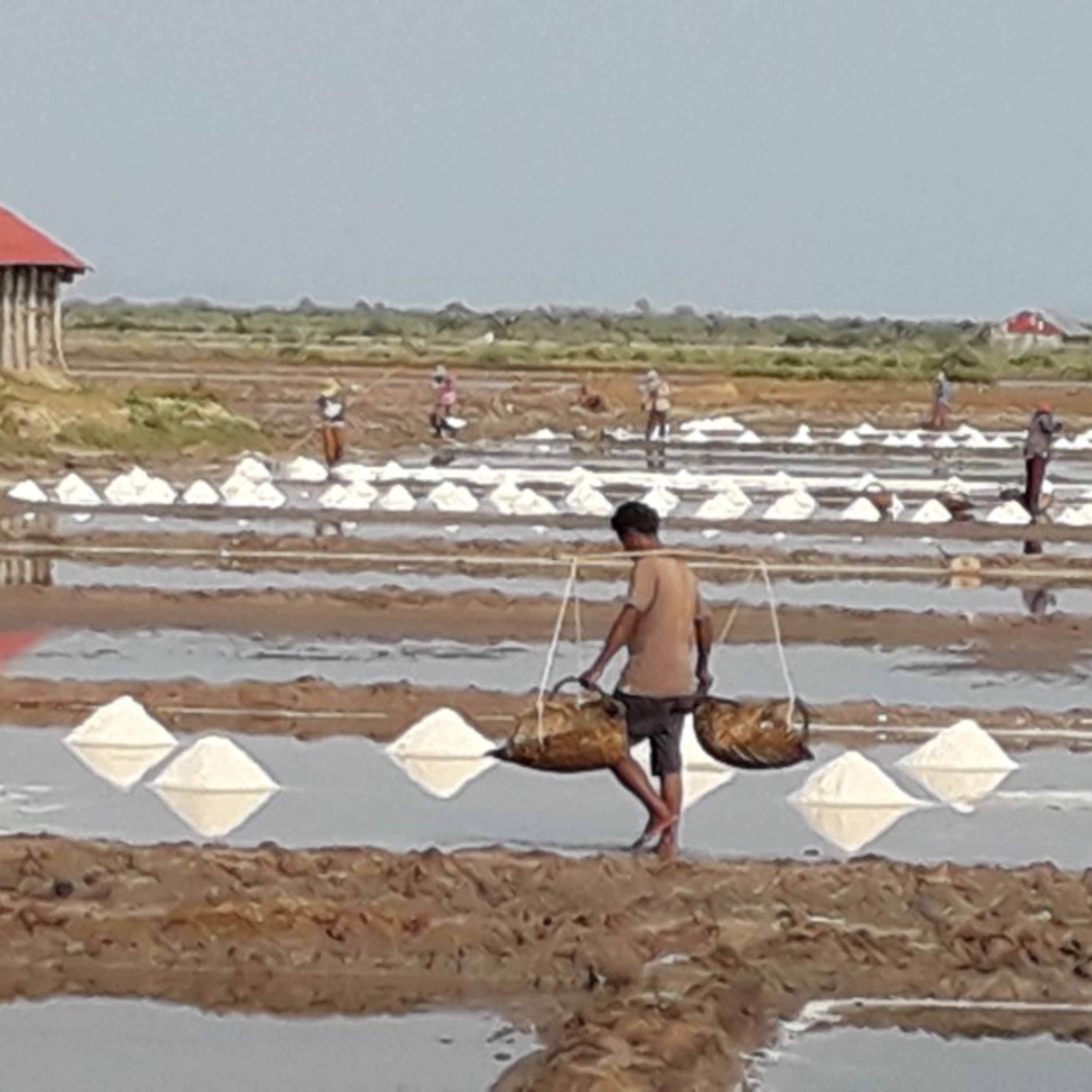 mental happiness & inner health - Foundation For Humanity