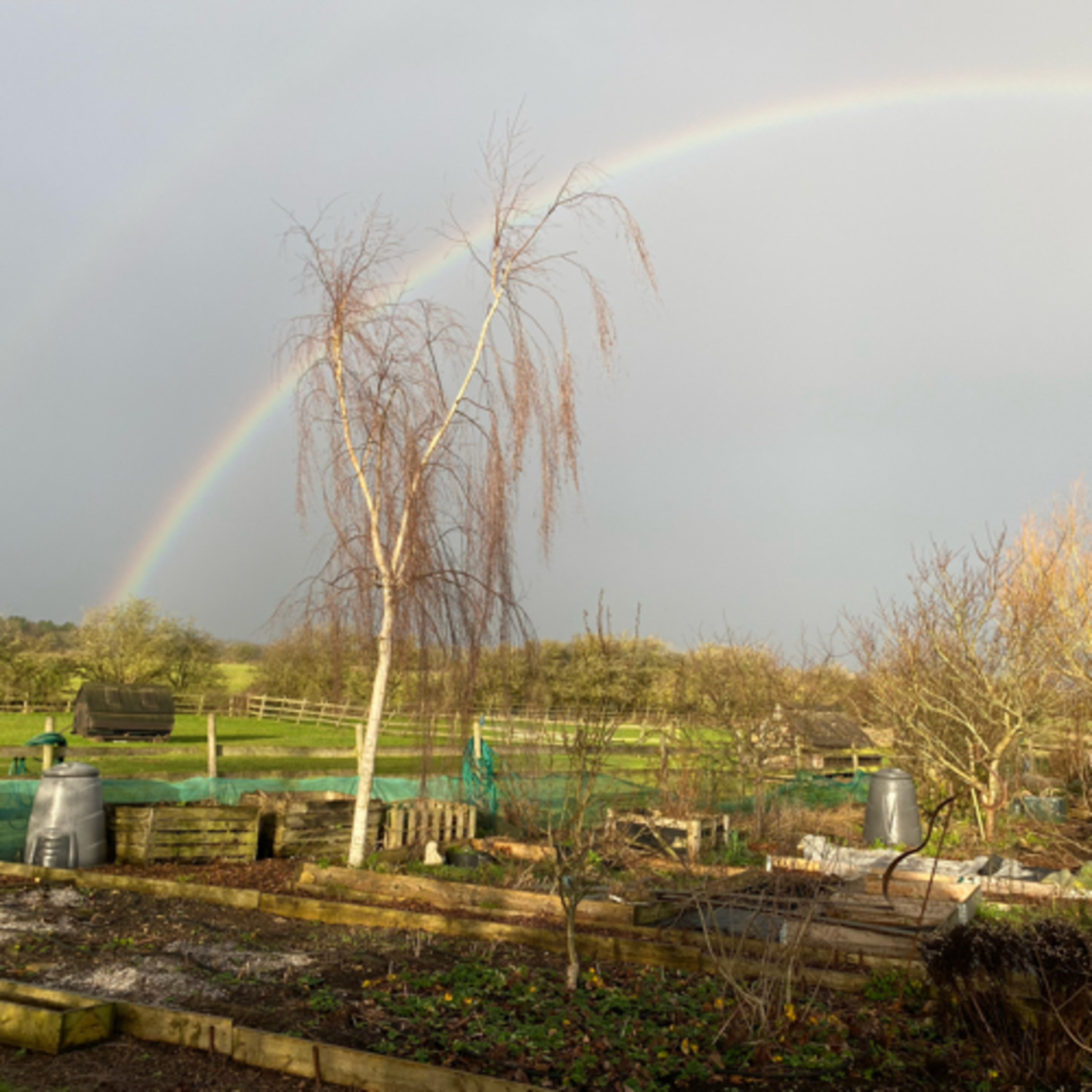 Our Smallholding Life, Flowers ‘n’ all