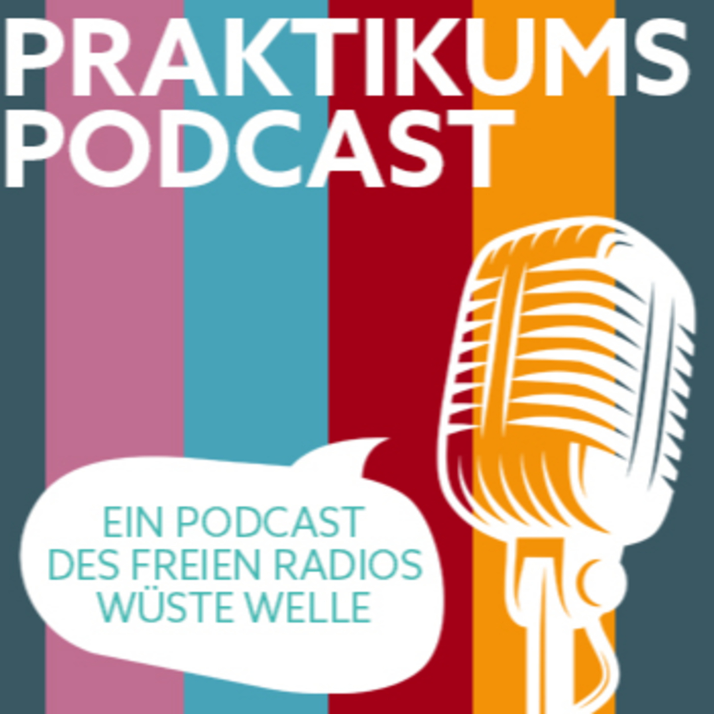 Küchengeplauder - der Praktikumspodcast der WüsteWelle
