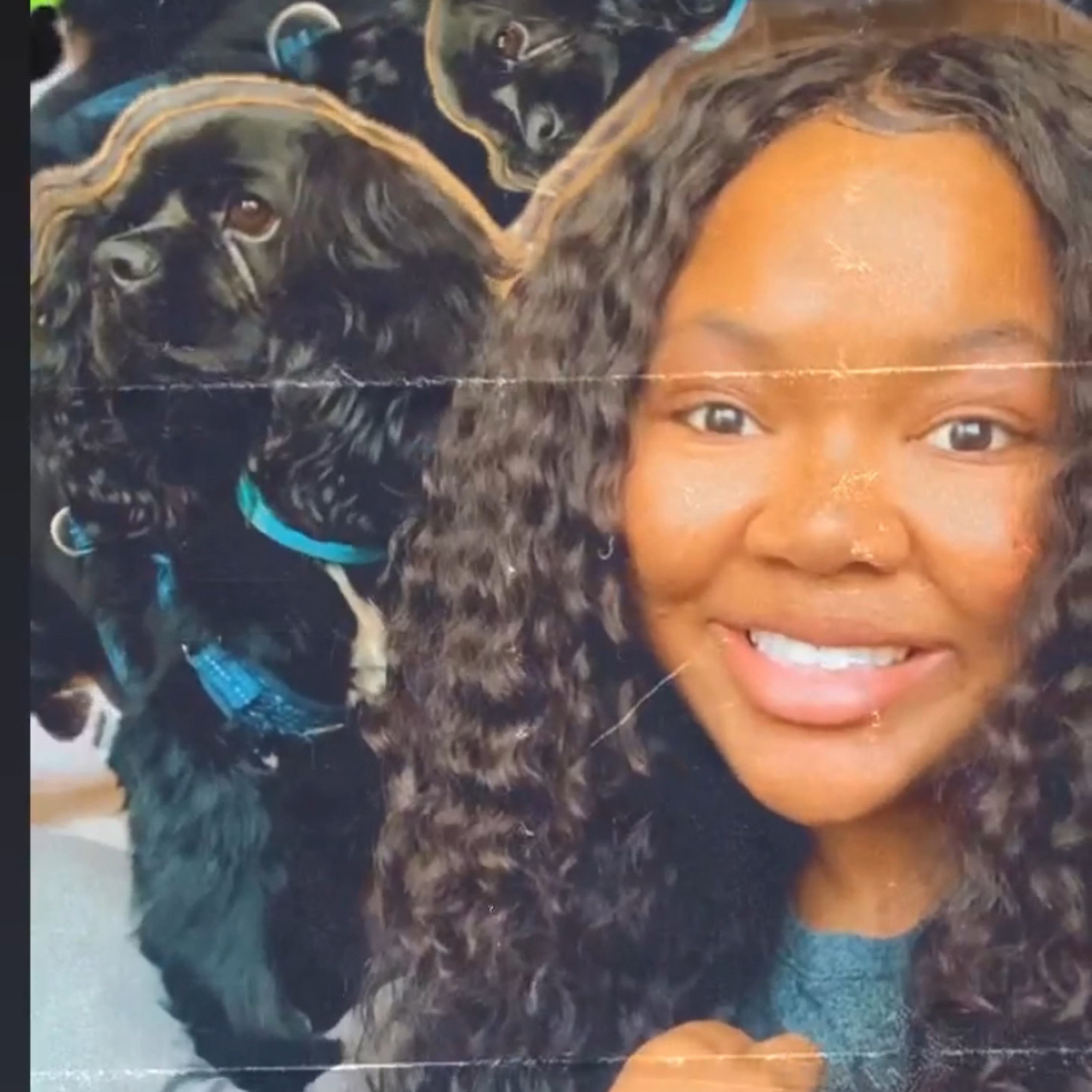 A bear or pig in a wig