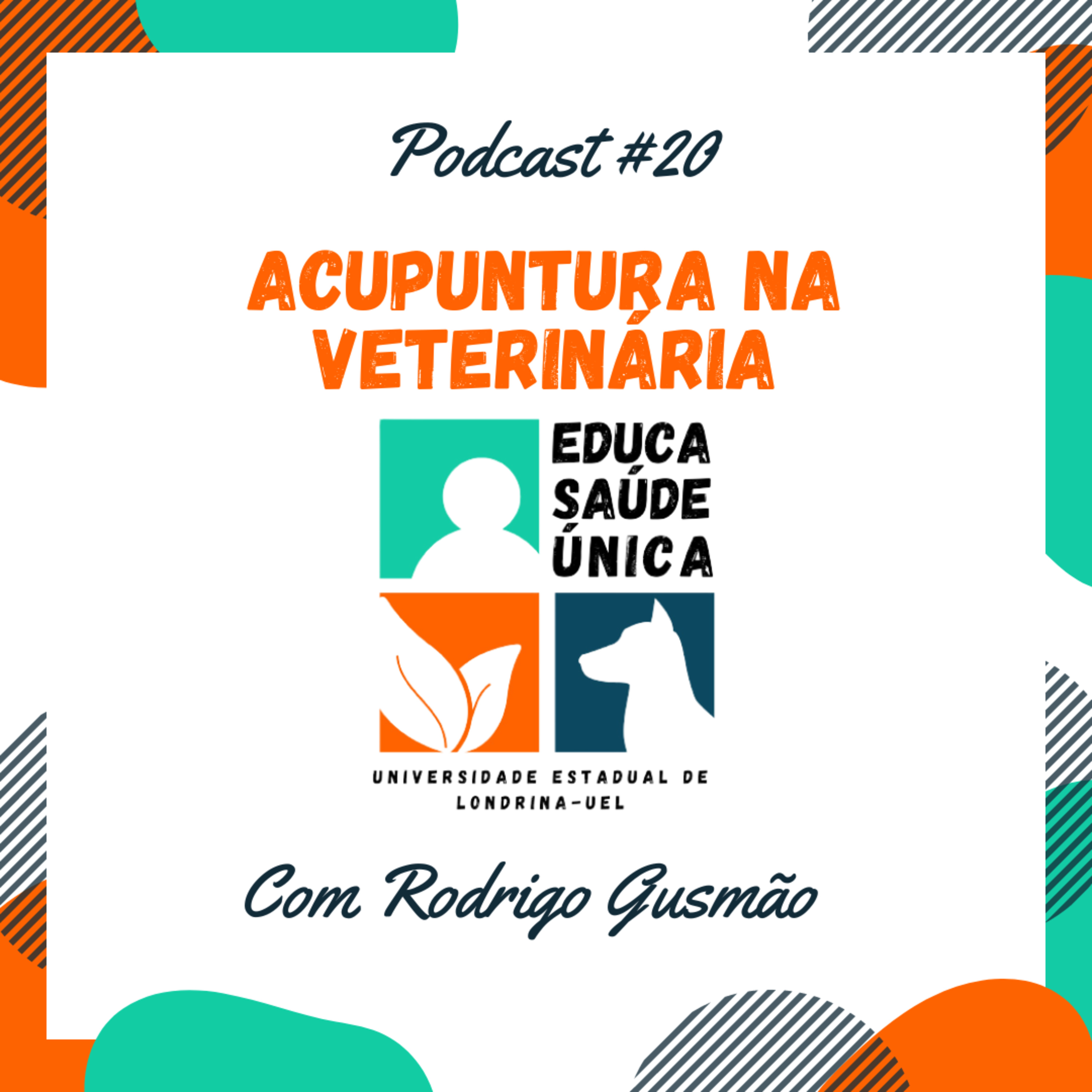 Educa Saúde Única UEL