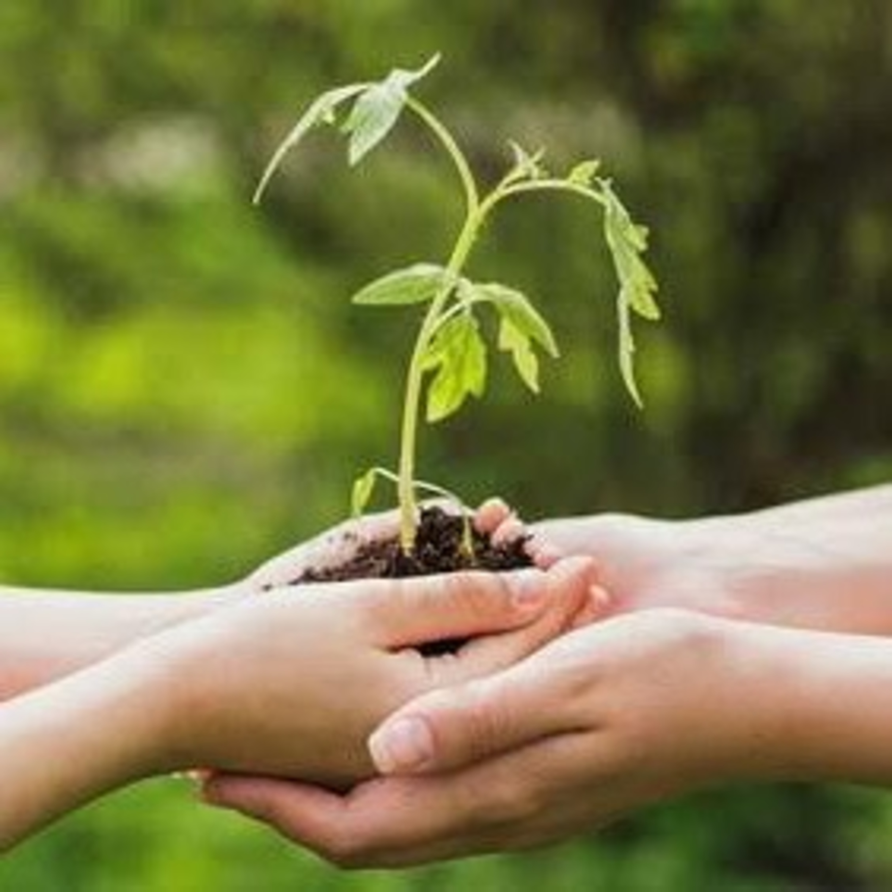 Cuidado del medio ambiente y la salud