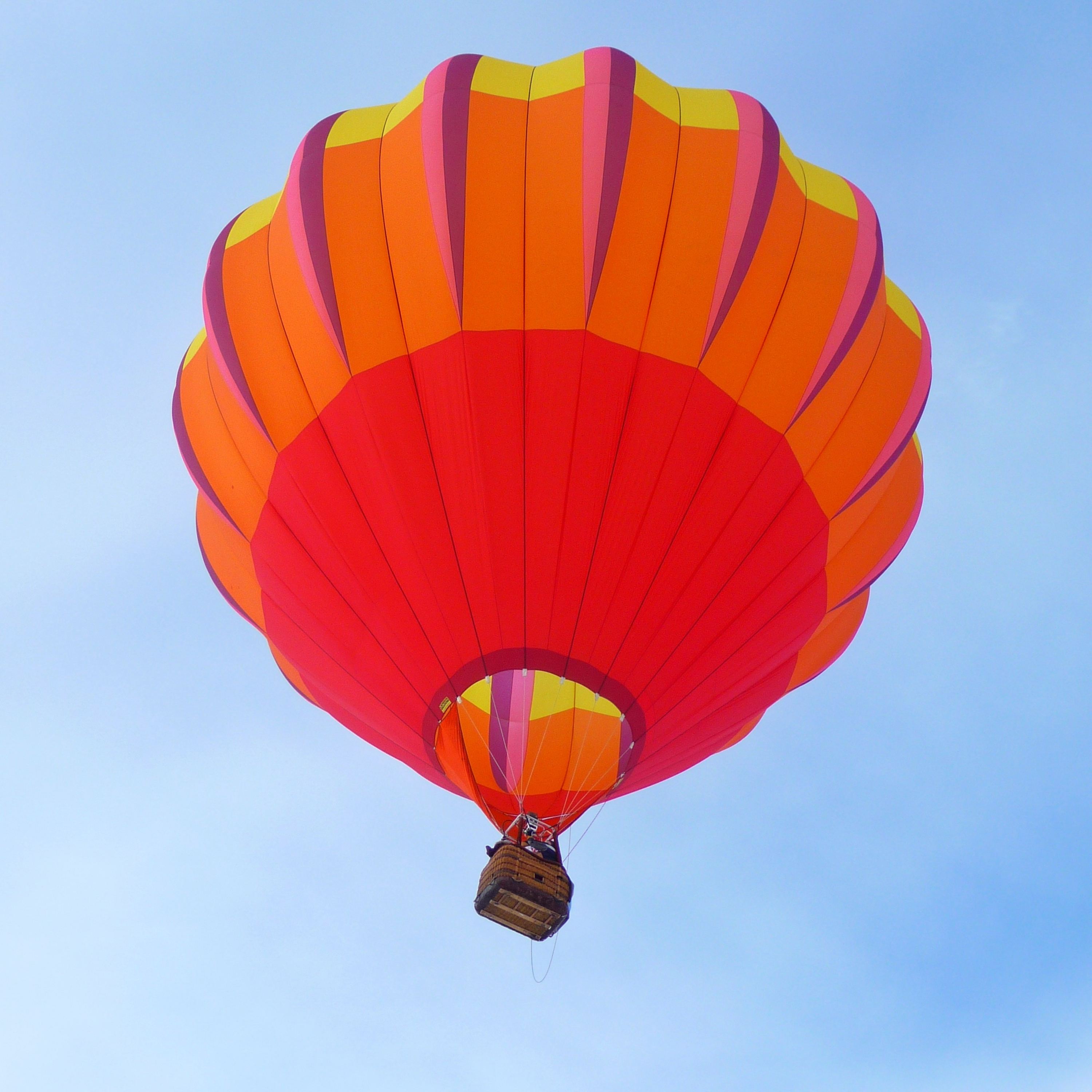 Portada de Desde el fuego horas de vuelo