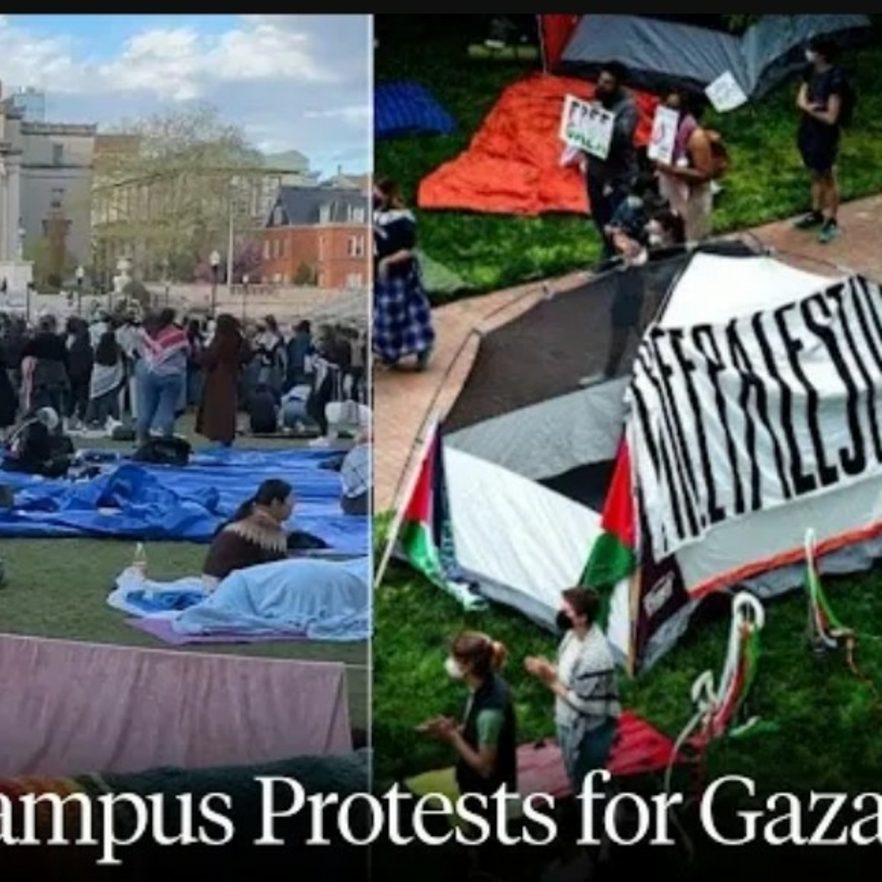 Colleges across the States are protesting the war between Israel 🇮🇱 and Palestine 🇵🇸 😳 🤔.  episode artwork