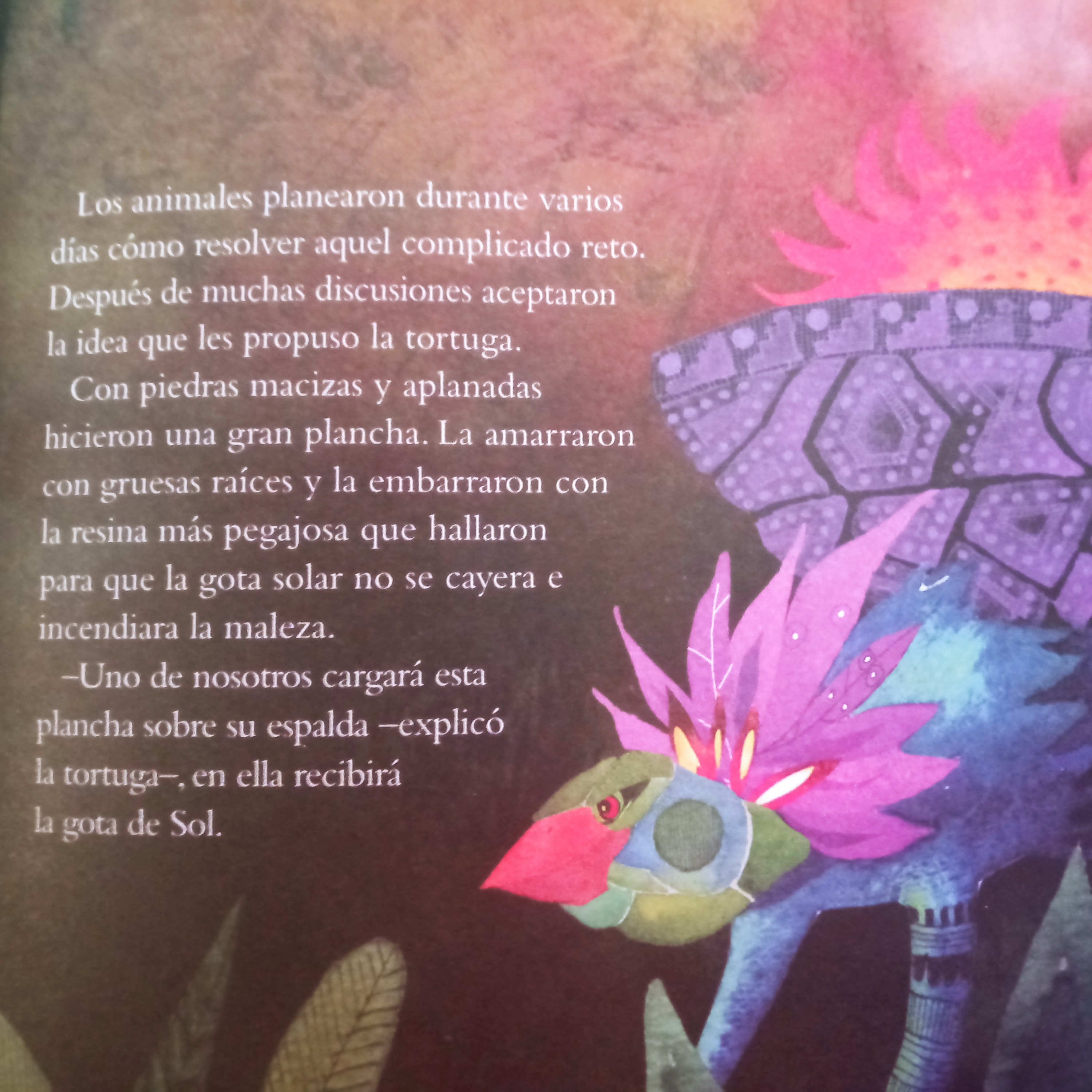 Aak ¿Porqué todos respetan y protegen a la tortuga?