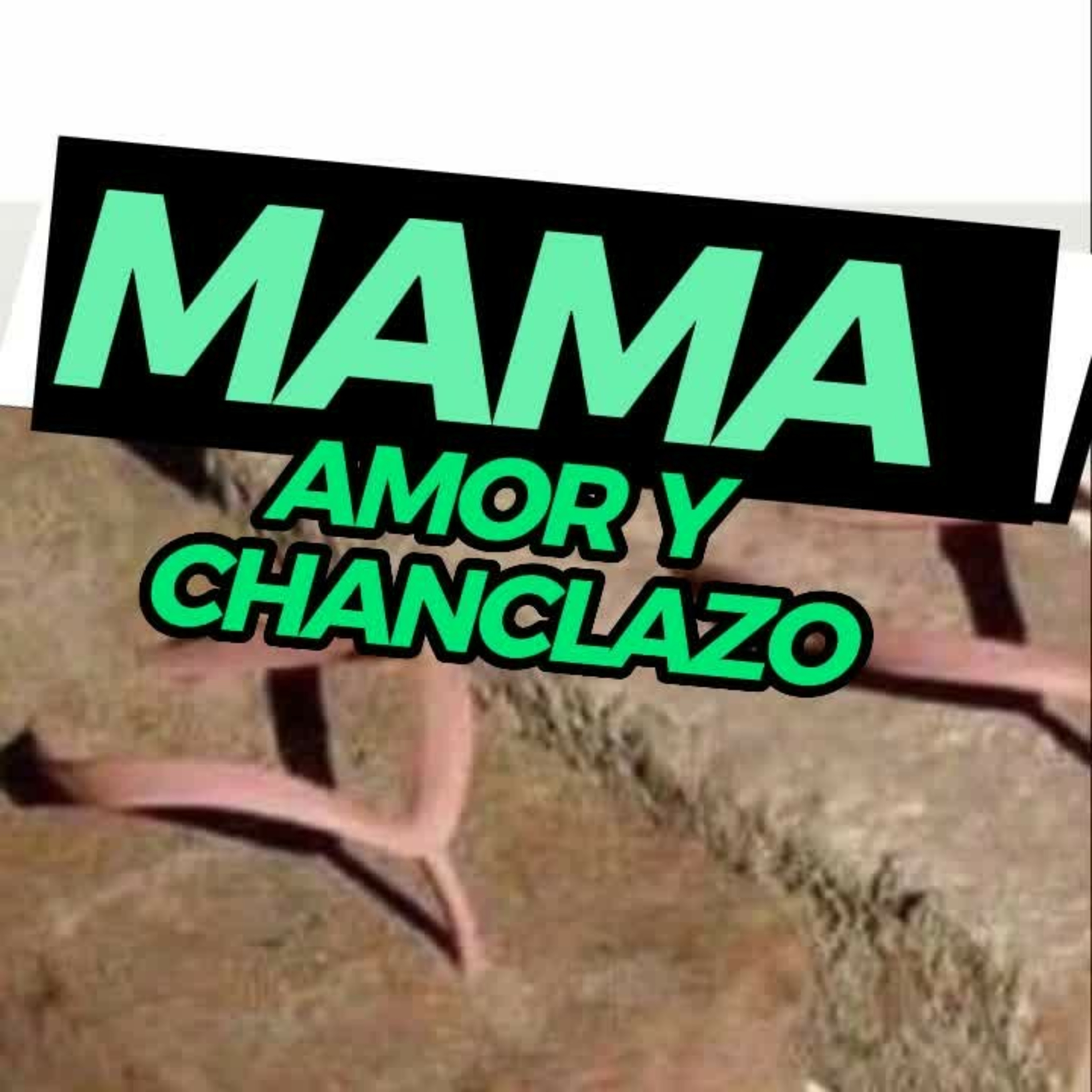🌷"MAMA AMOR Y CHANCLAZO"👡 #madres #guinness episode artwork