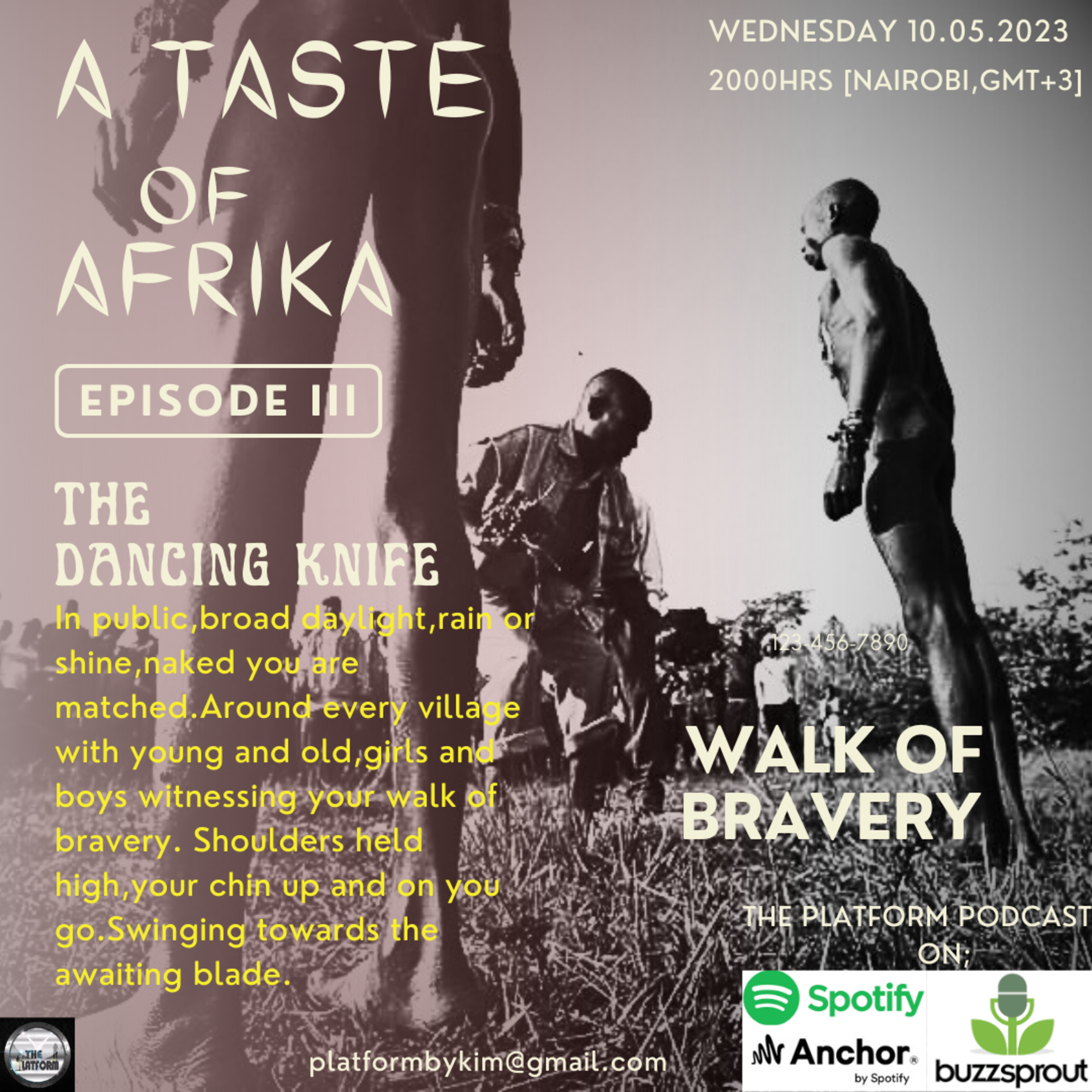 THE PLATFORM PODCAST