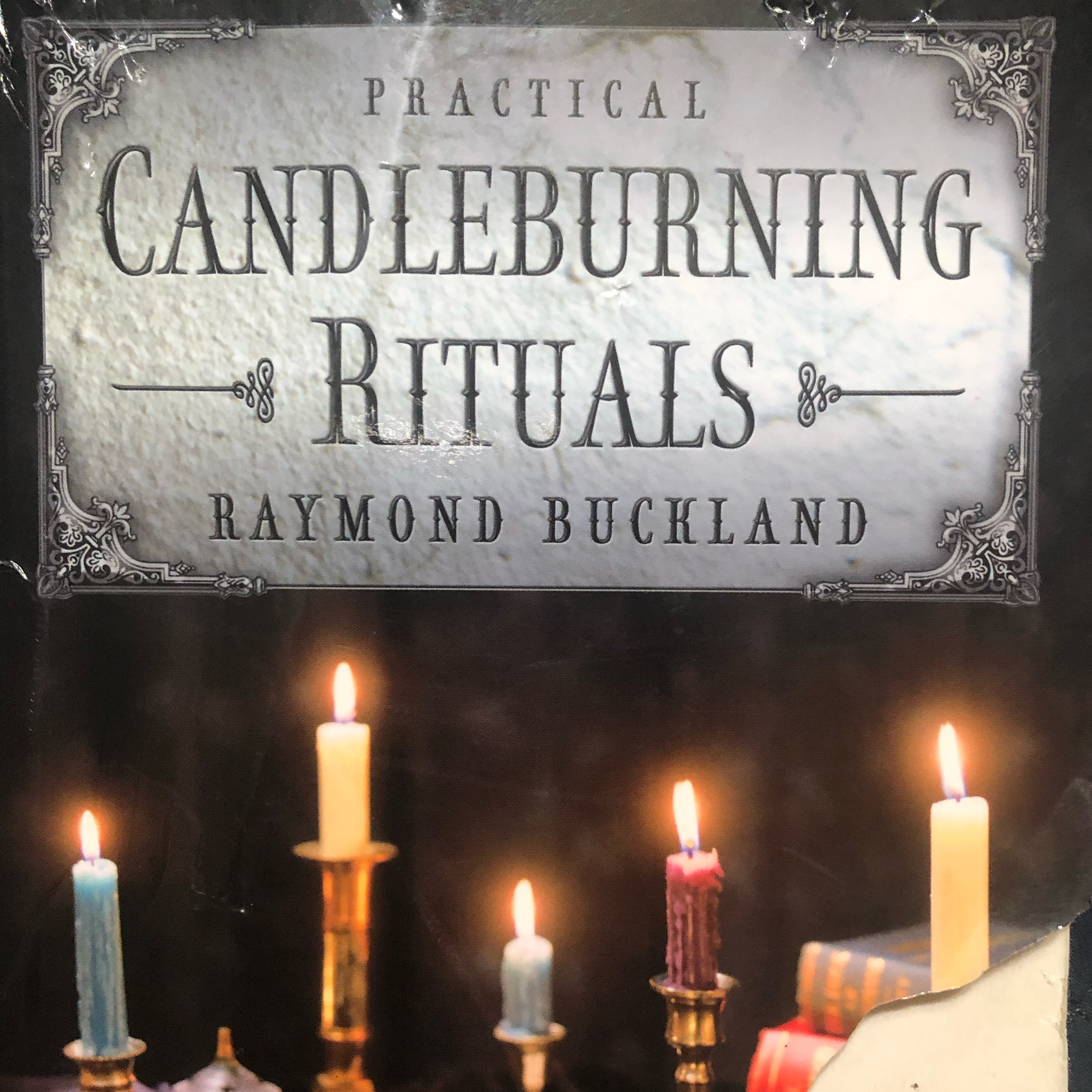 Get Witchy with Harley