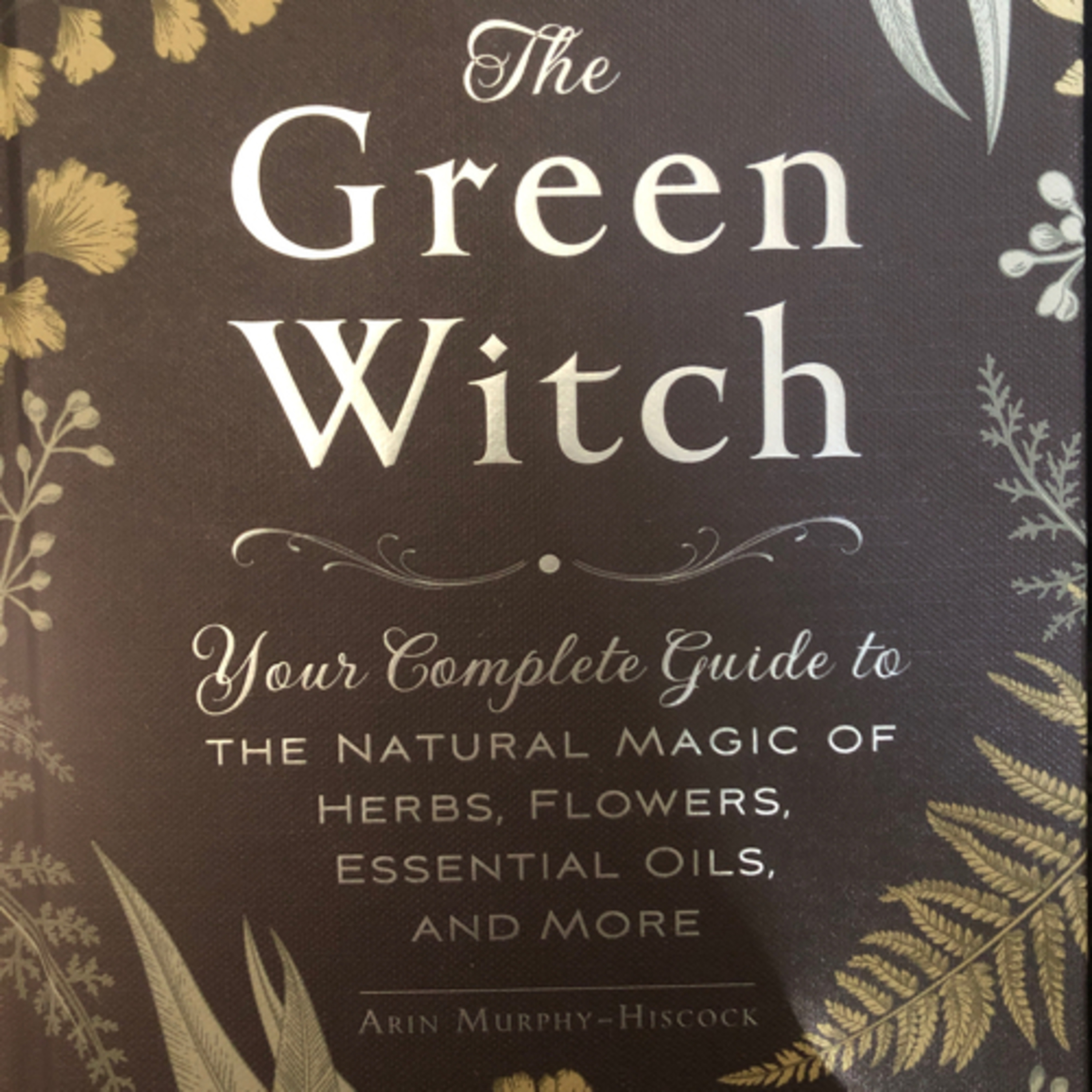 Get Witchy with Harley