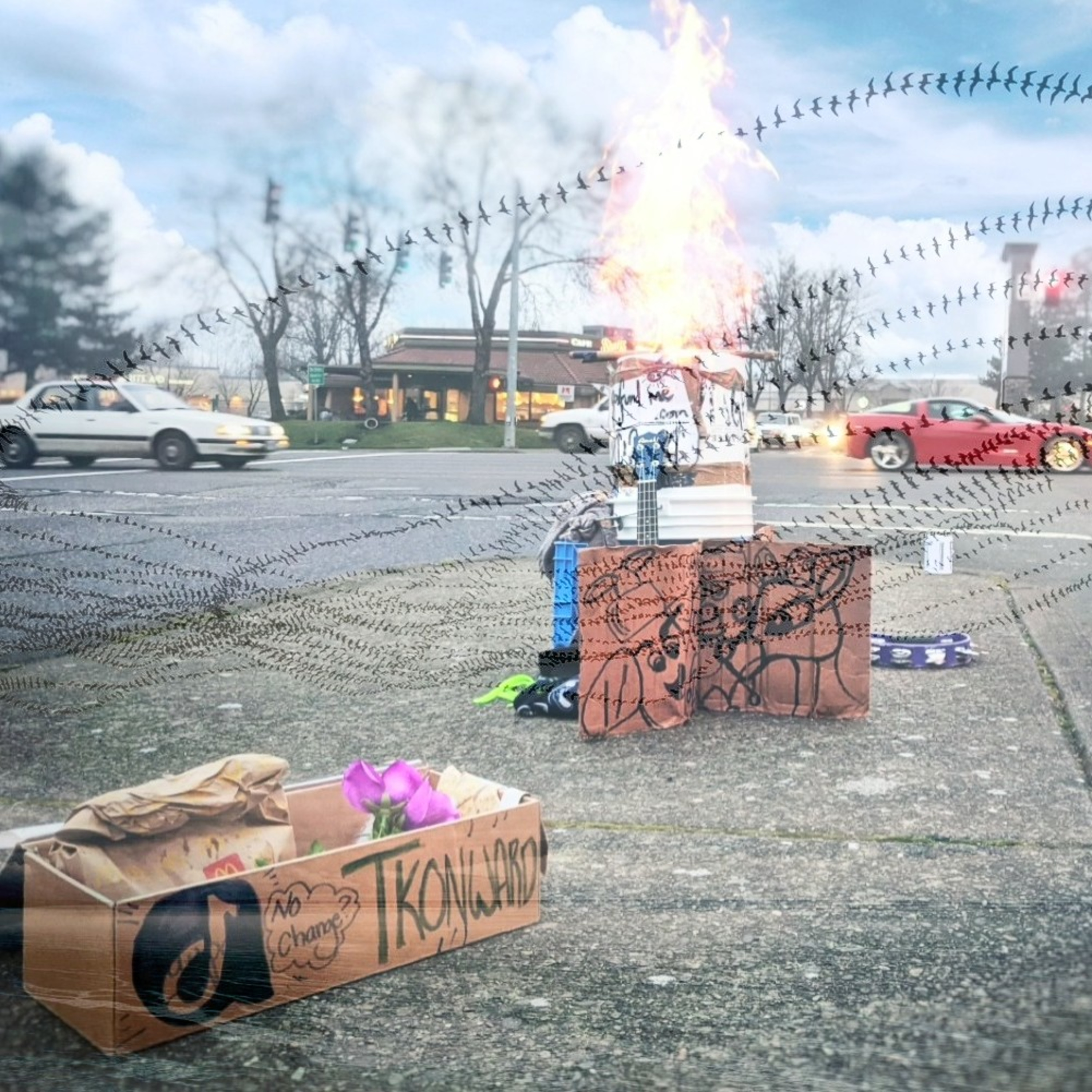 SoulMateS Wits\' EnD | Galaxy Blue & Emerald Dragon\'s Wits\' End