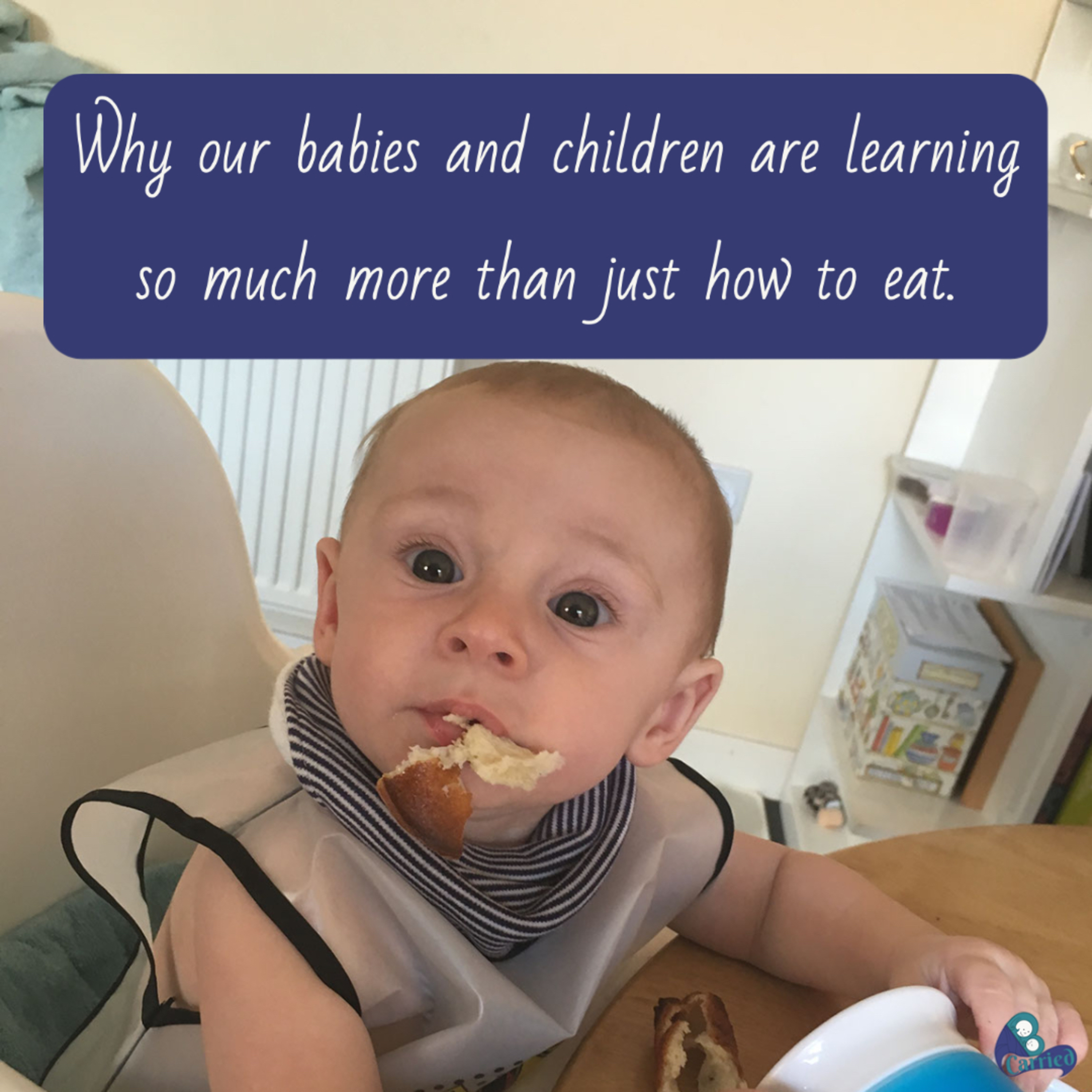 Why our babies and children are learning so much more than just how to put food into their mouth and chew it. episode artwork