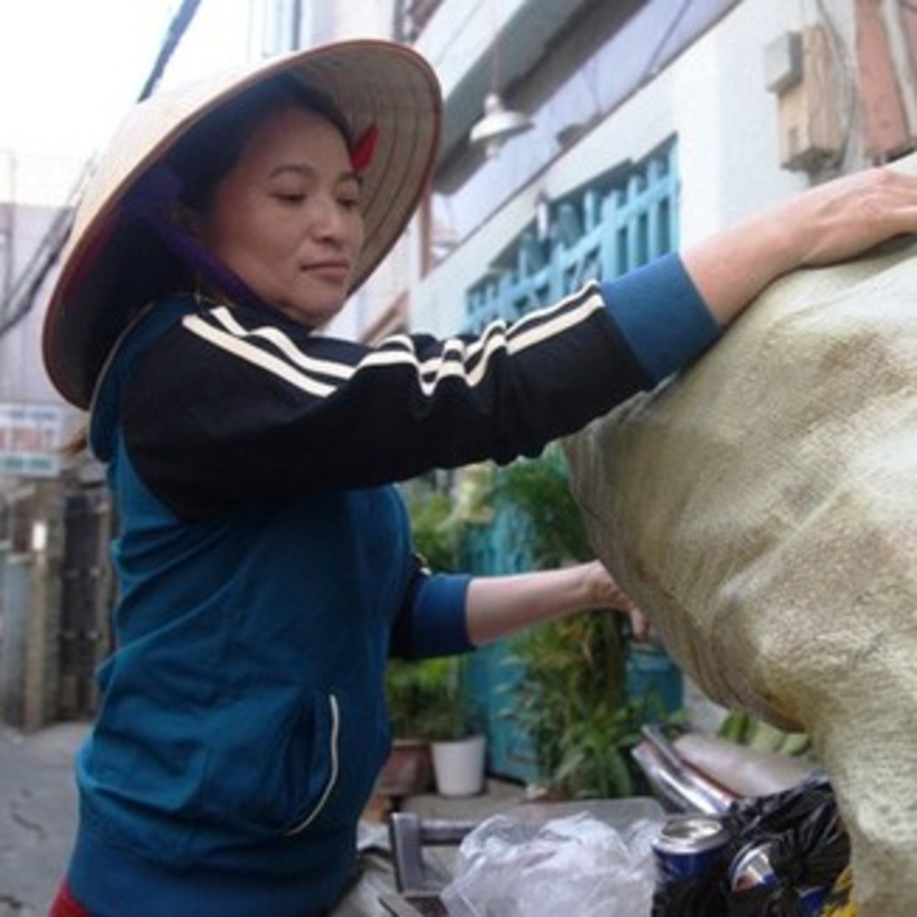 Chị ve chai trả lại tiền nhặt được  episode artwork