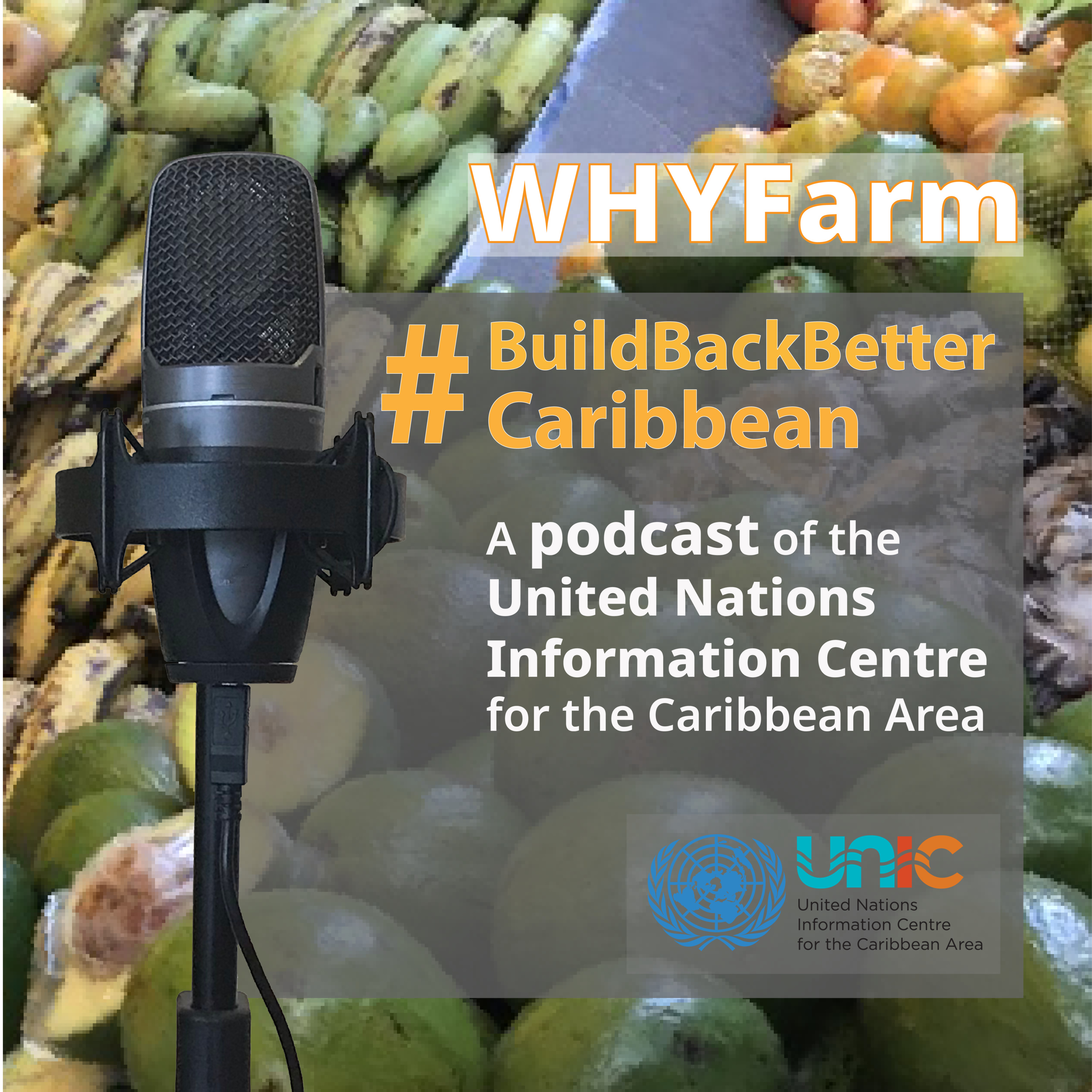 #BuildBackBetterCaribbean