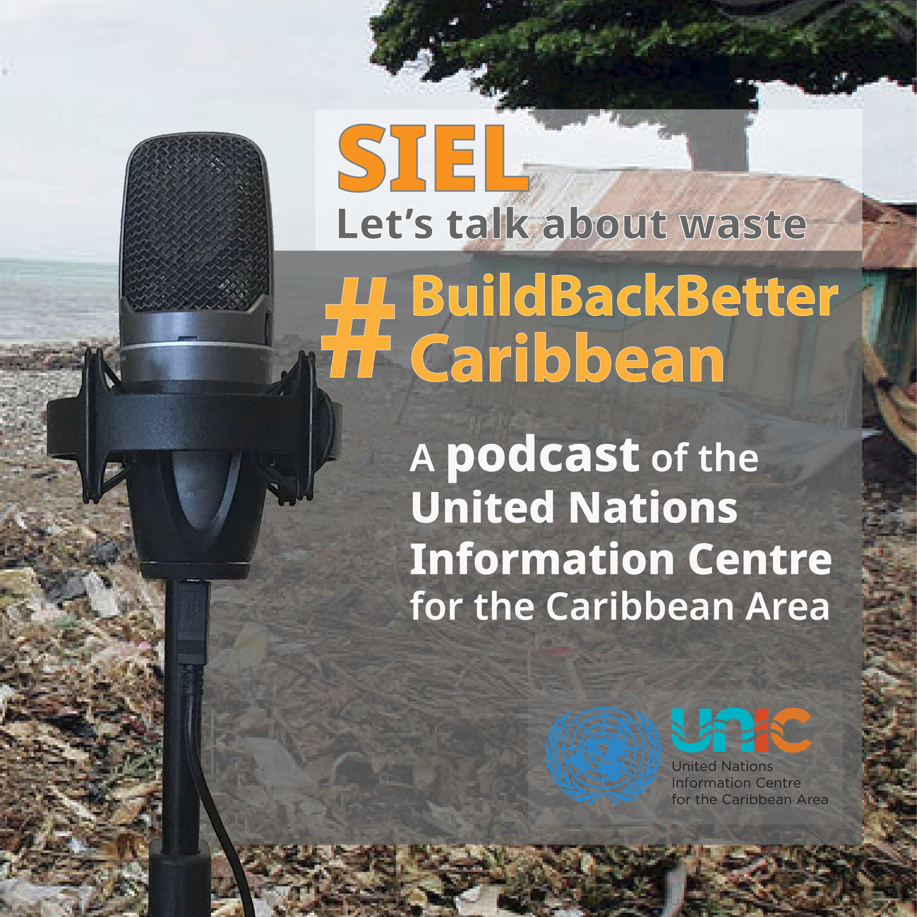 #BuildBackBetterCaribbean