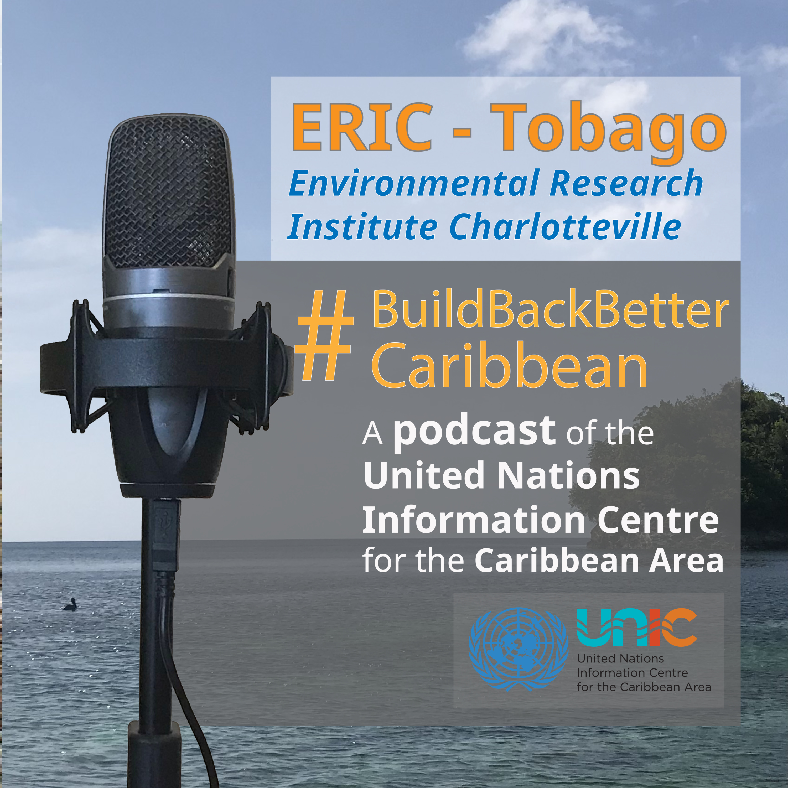 #BuildBackBetterCaribbean