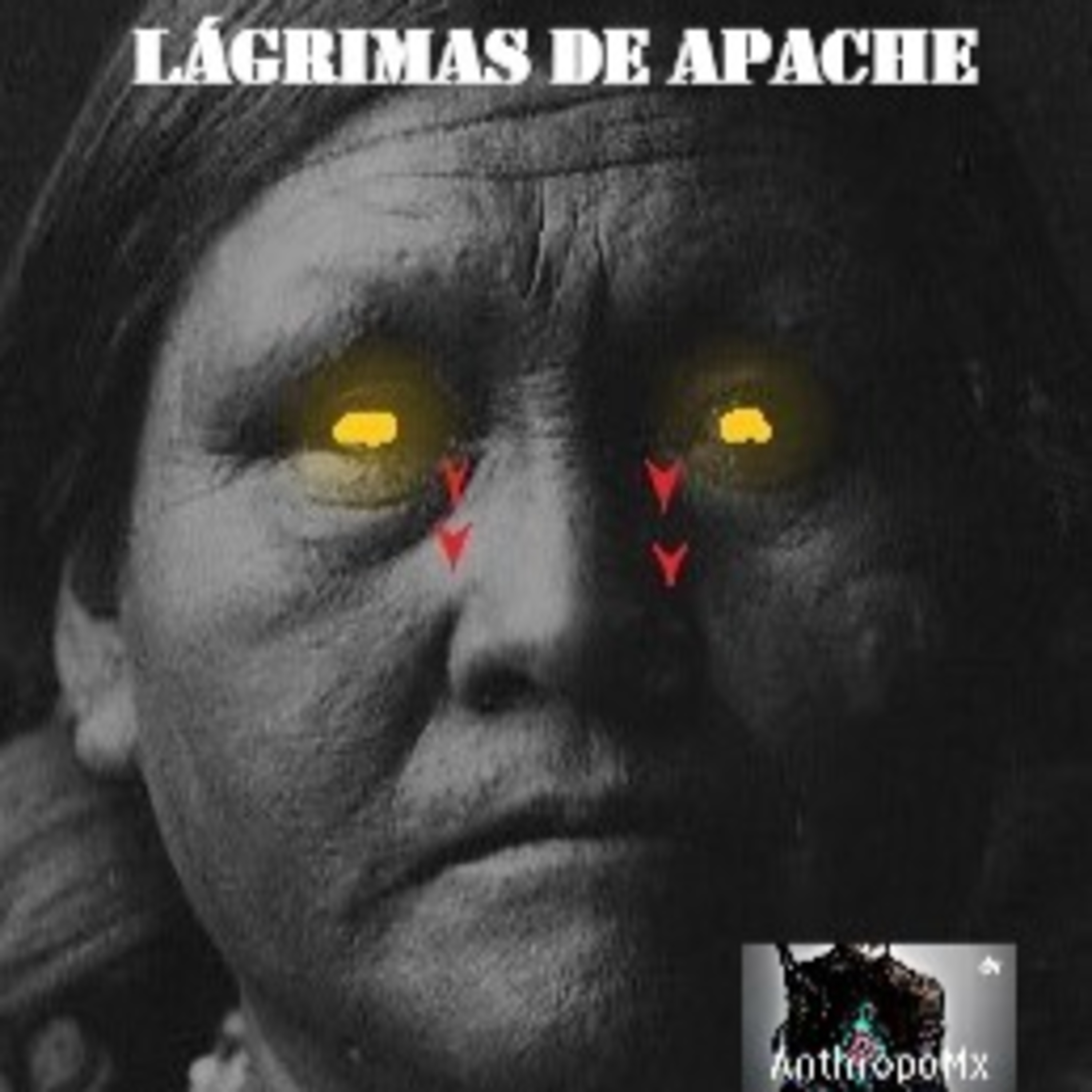 Portada de AnthropoMx