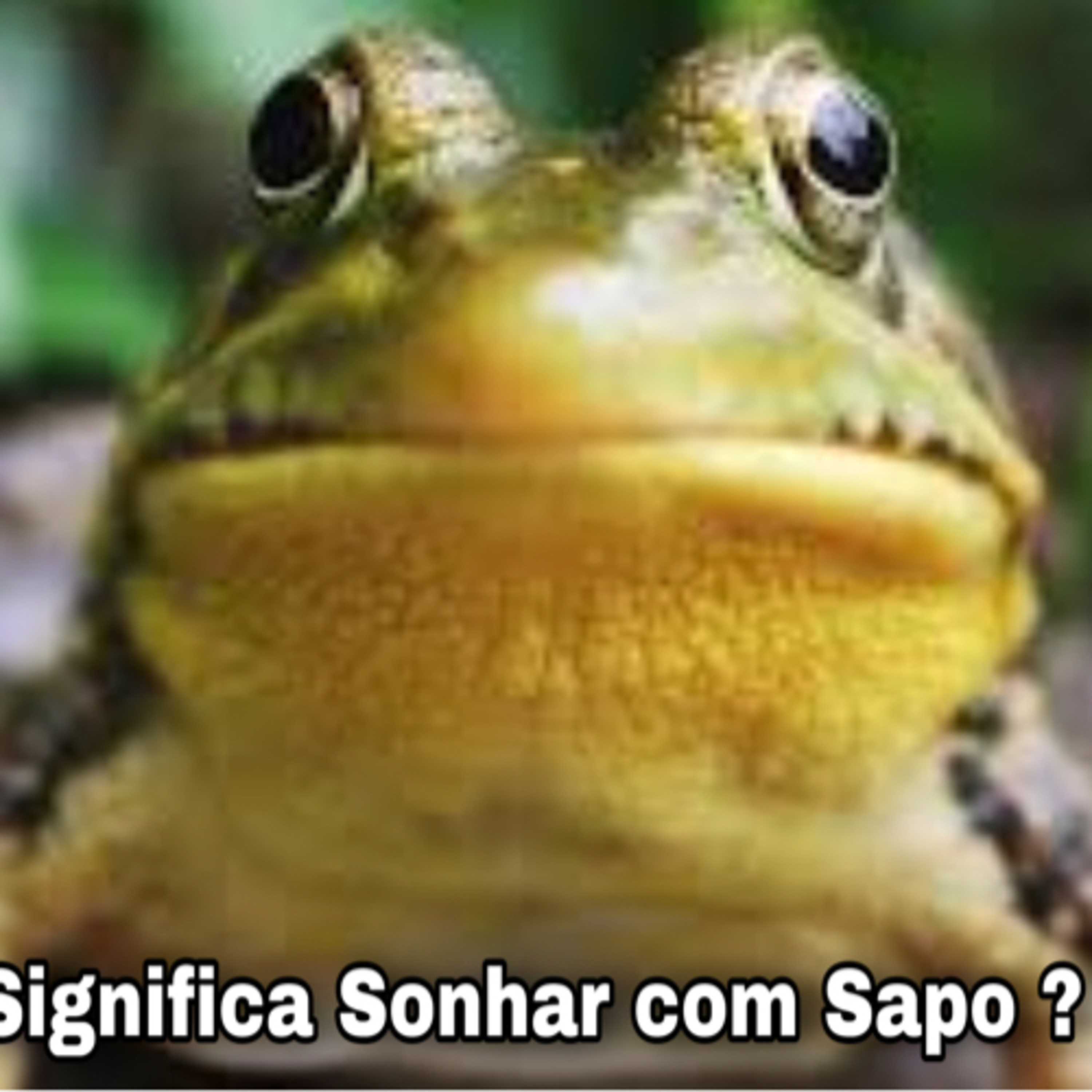 O QUE SIGNIFICA SONHAR COM SAPO?  episode artwork