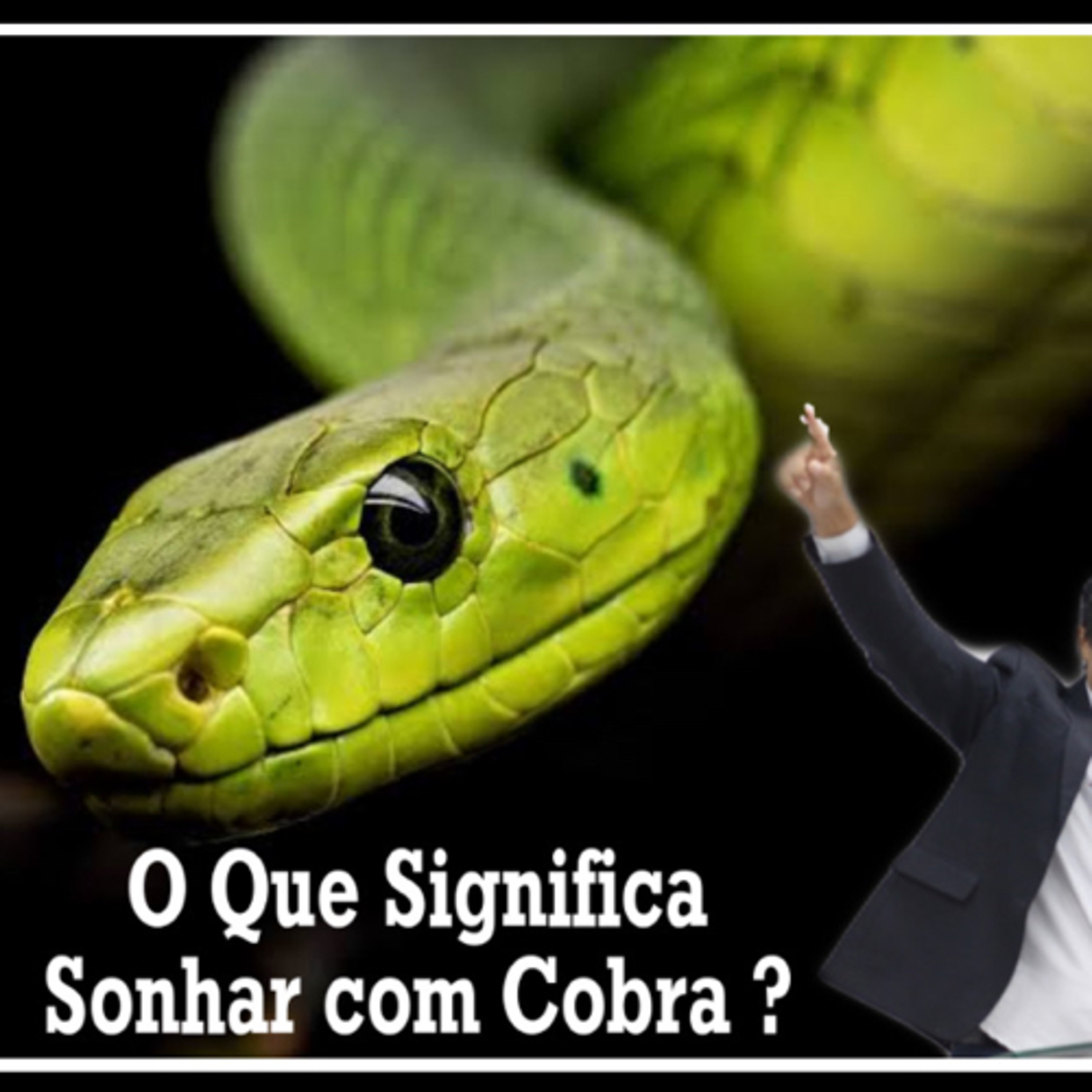 O QUE SIGNIFICA SONHAR COM COBRA?  episode artwork