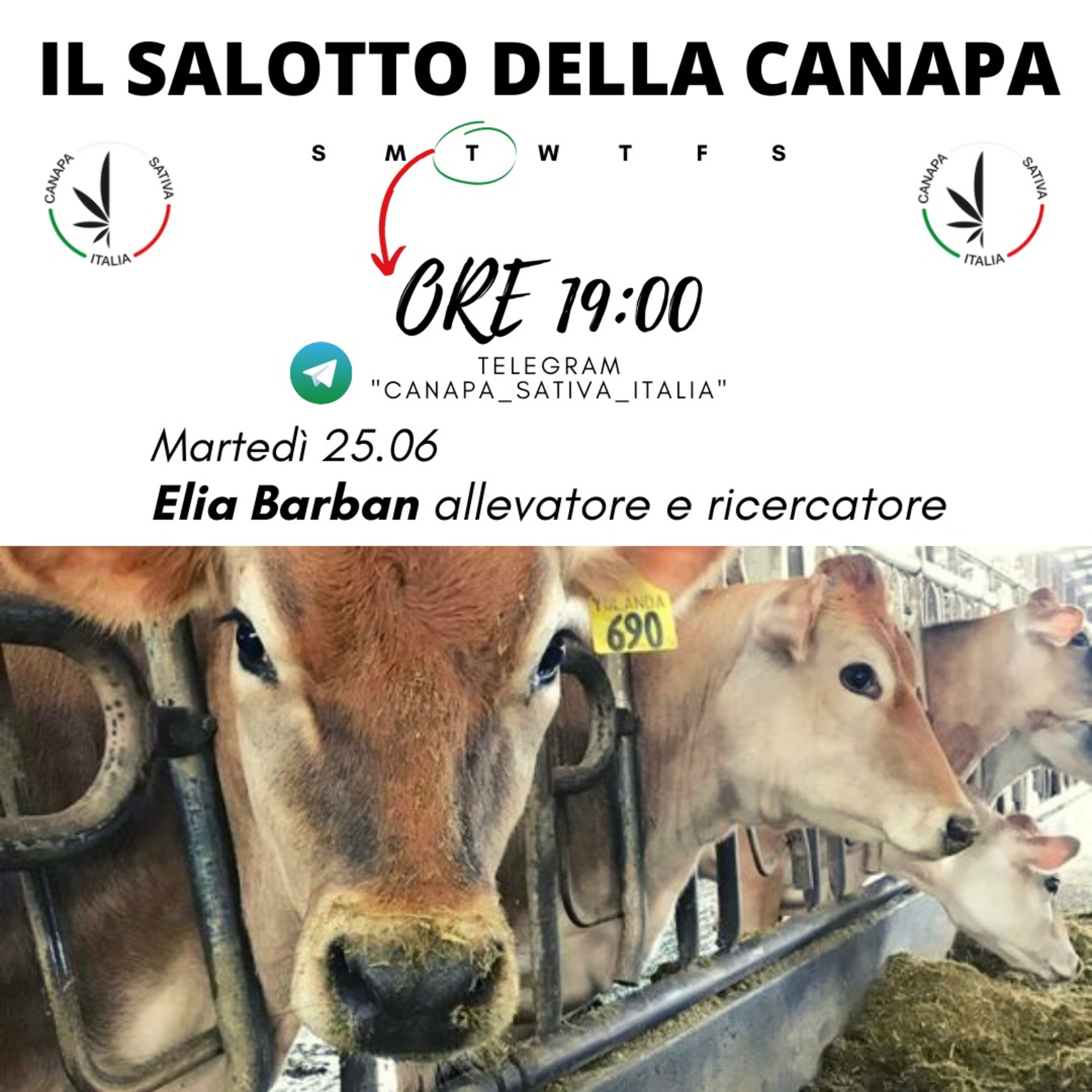 Canapa Sativa Italia CSI - Il Salotto Della Canapa