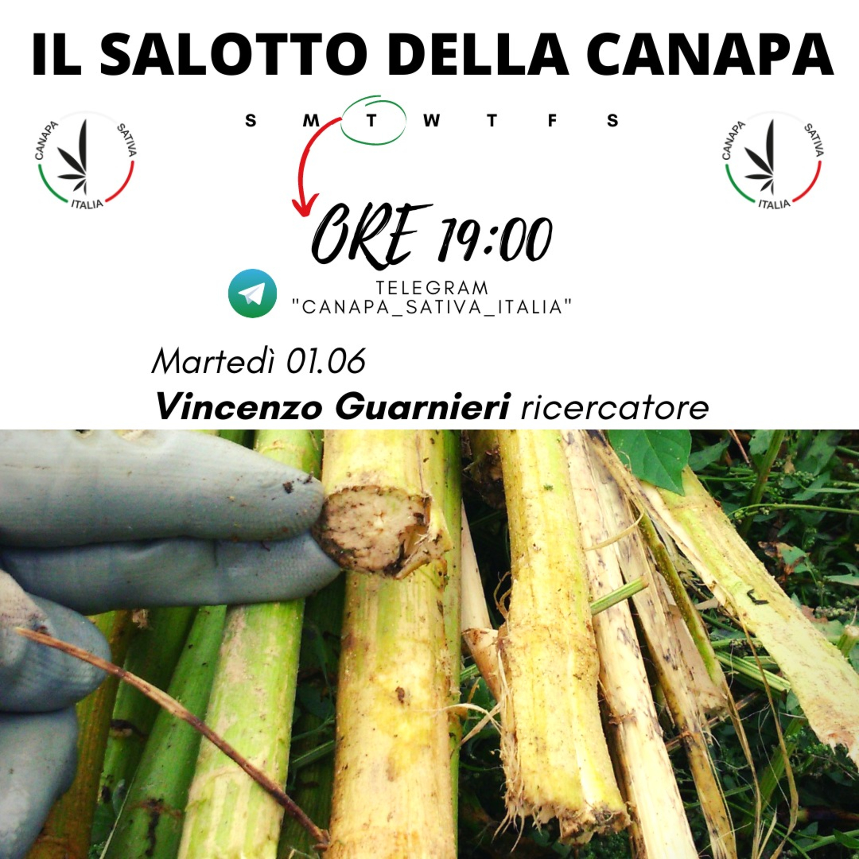 Canapa Sativa Italia CSI - Il Salotto Della Canapa