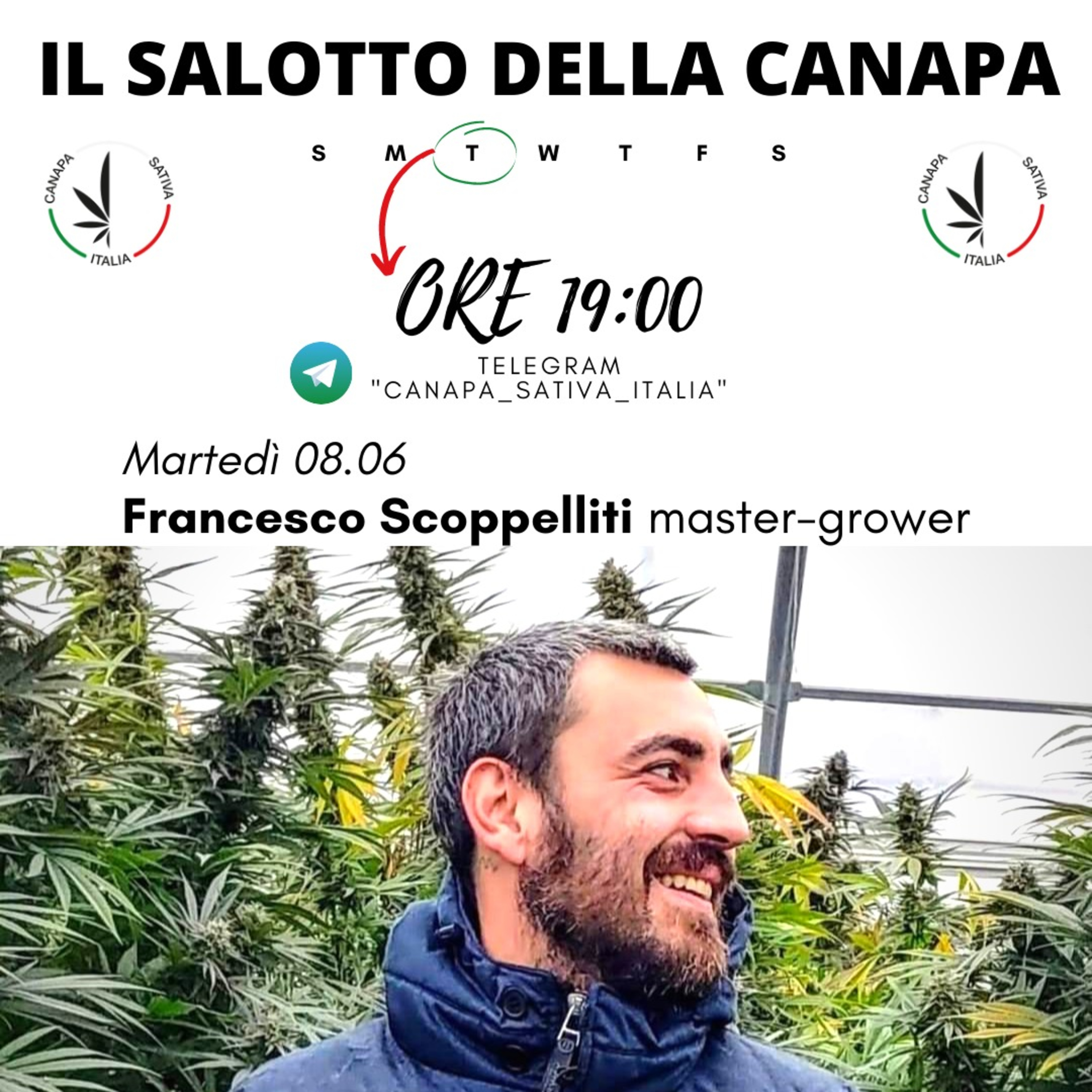 Canapa Sativa Italia CSI - Il Salotto Della Canapa