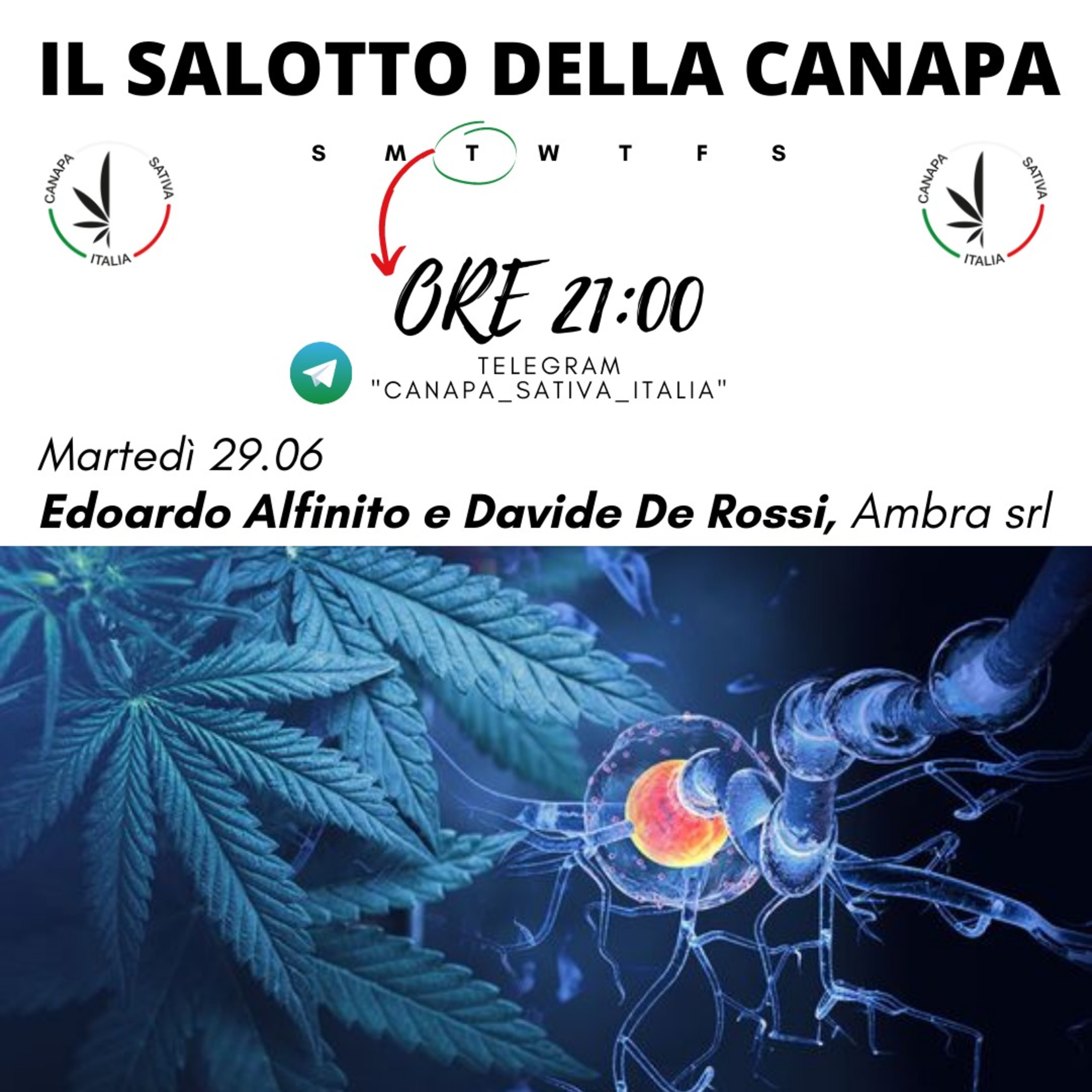 Canapa Sativa Italia CSI - Il Salotto Della Canapa