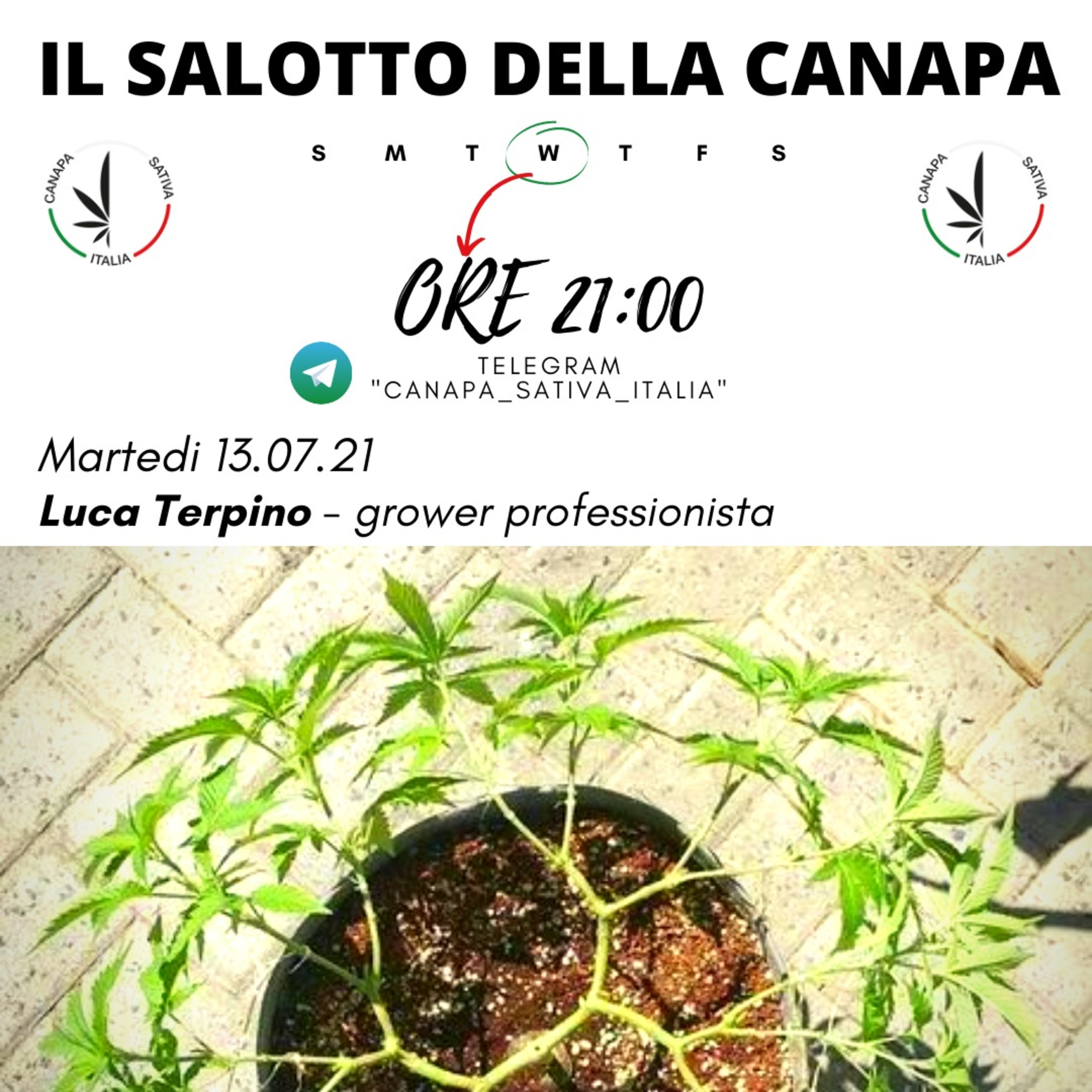 Canapa Sativa Italia CSI - Il Salotto Della Canapa