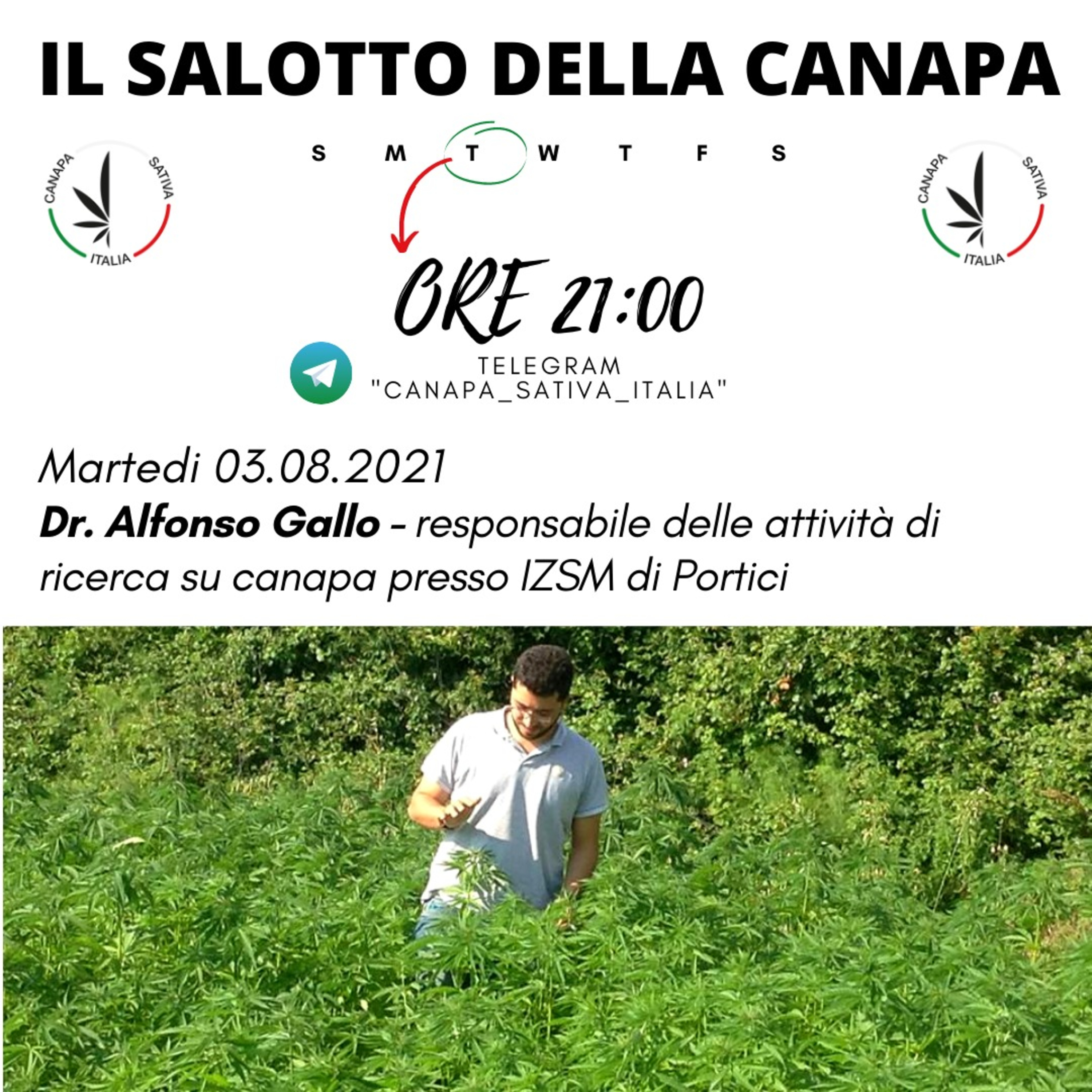Canapa Sativa Italia CSI - Il Salotto Della Canapa