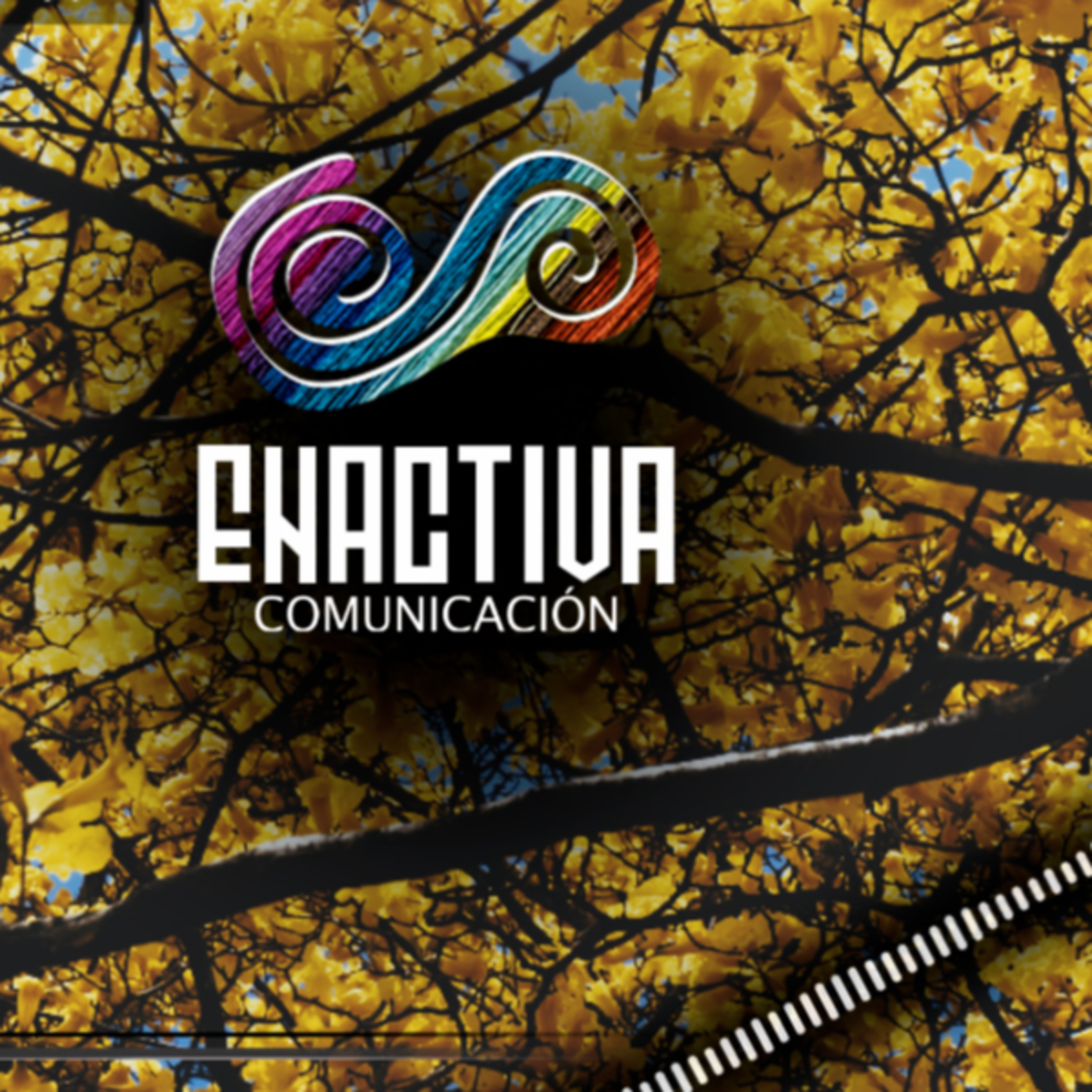 Enactiva Comunicación