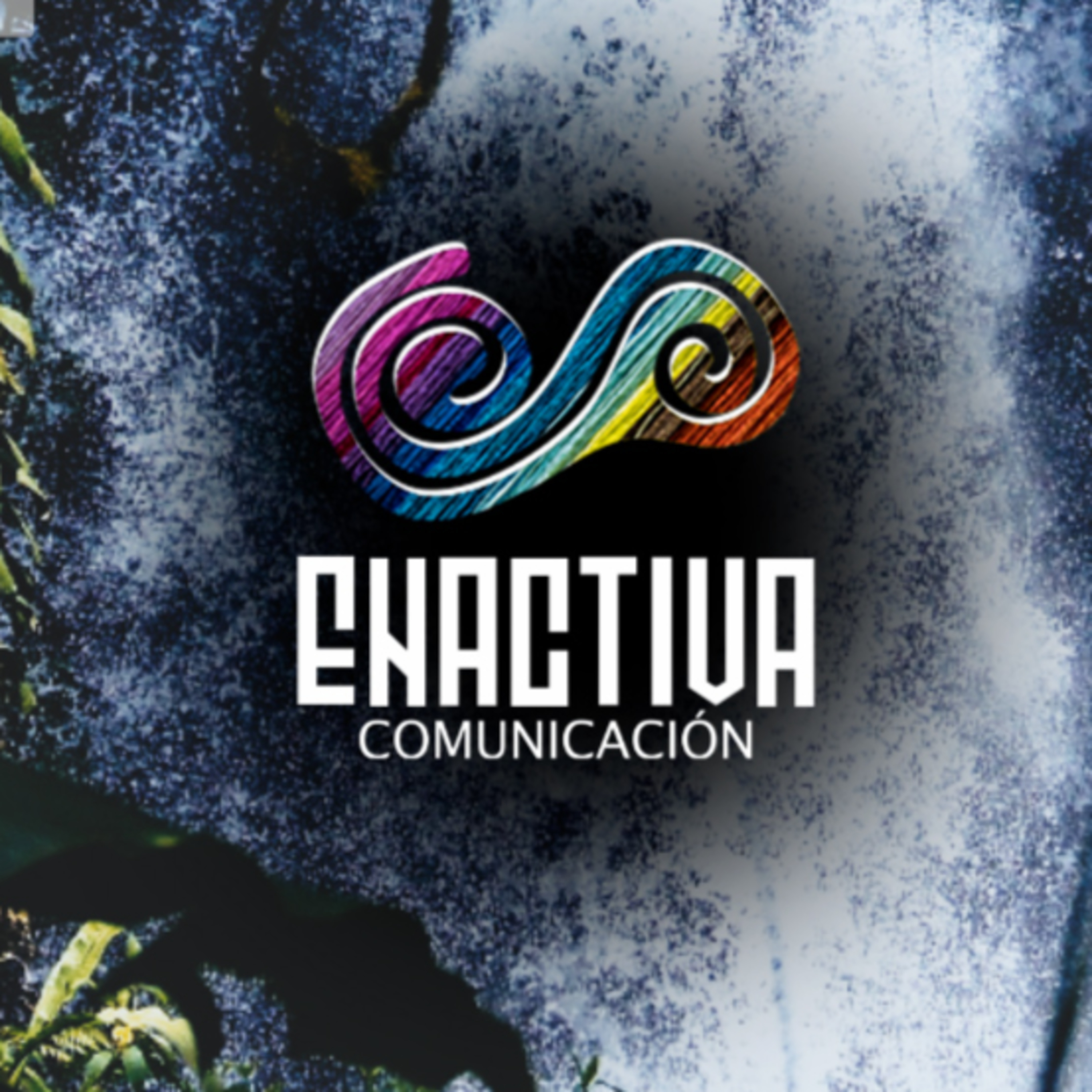 Enactiva Comunicación