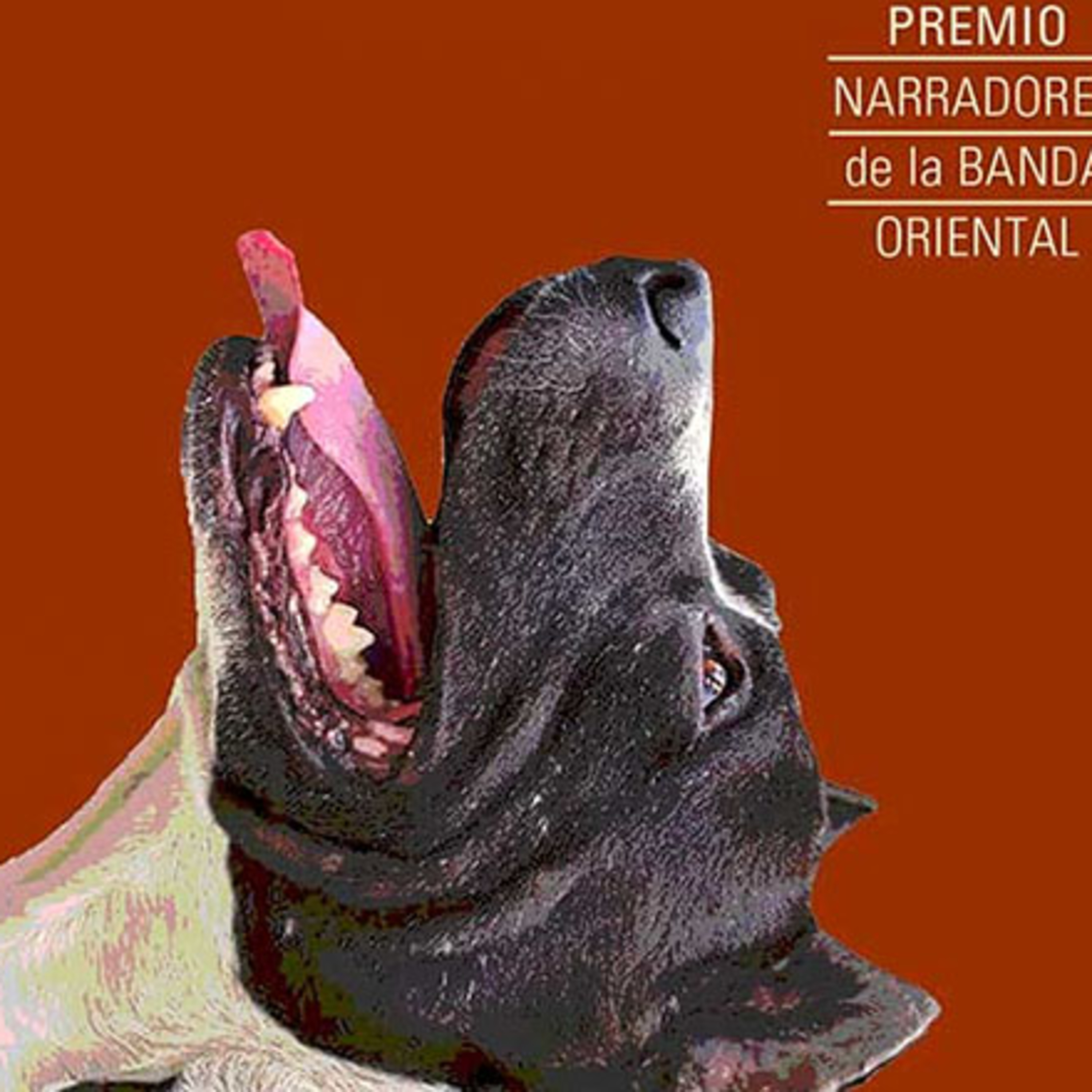 Cecilia Ríos y su premiada novela "No fumes ni vayas a la guerra" episode artwork
