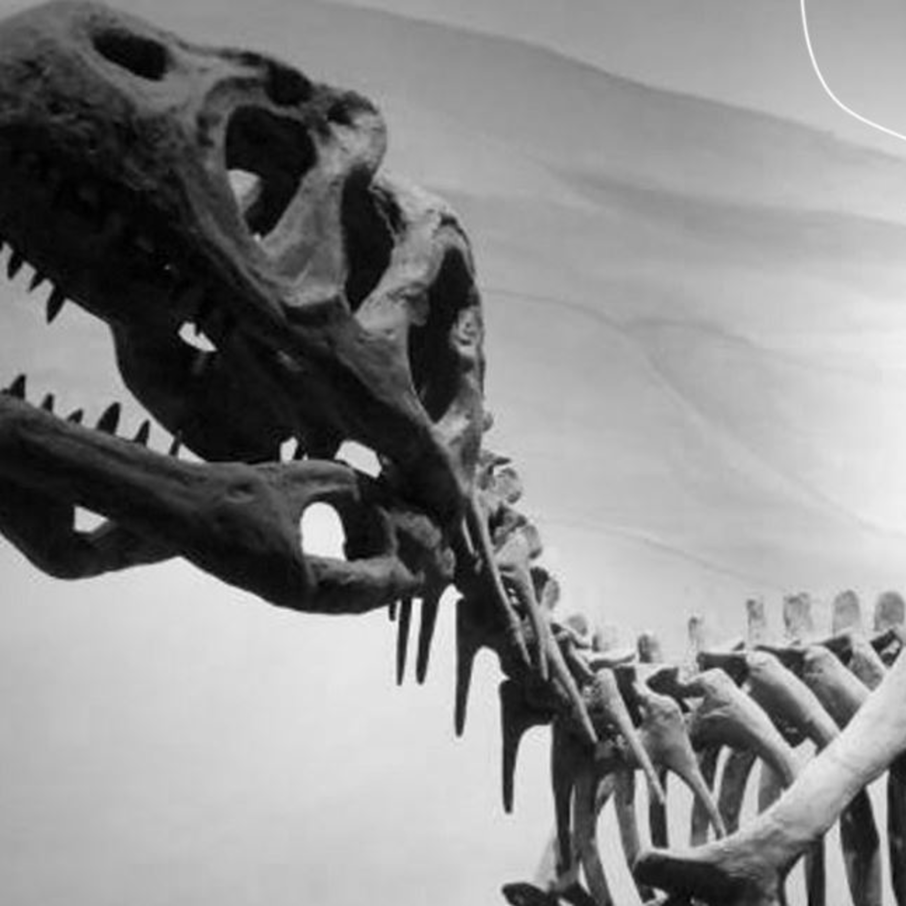 Un taller para los amantes de los dinosaurios episode artwork