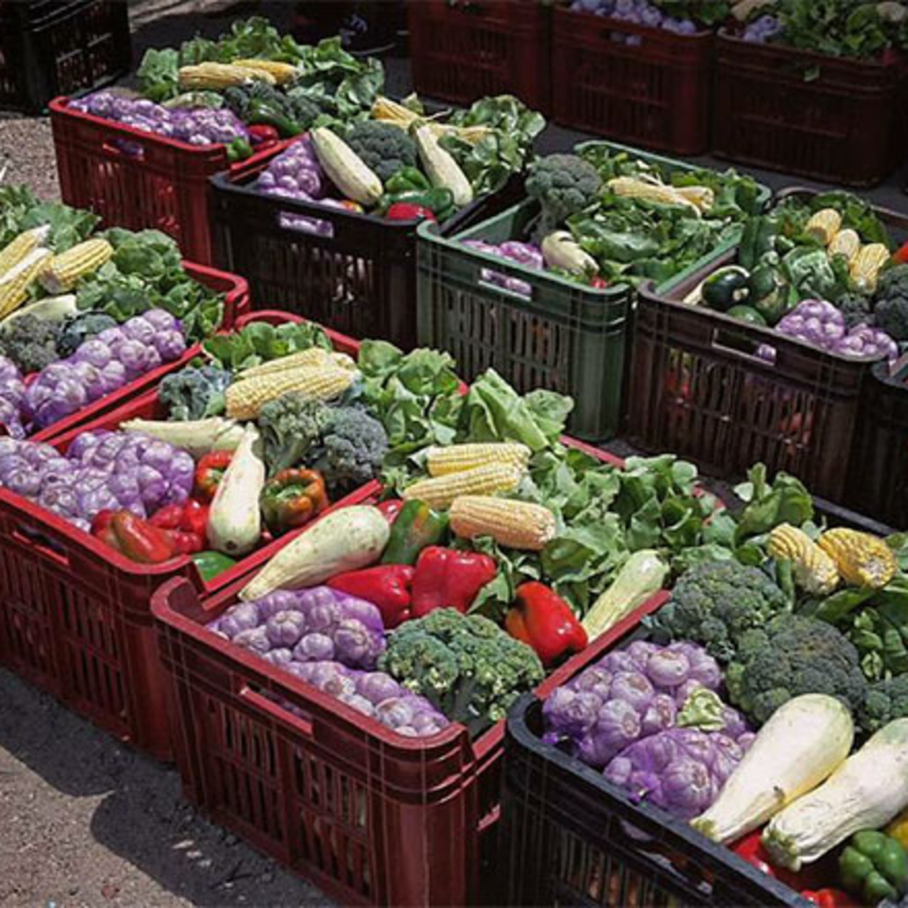 Cómo salvar 20.000 kilos de alimentos en buen estado episode artwork