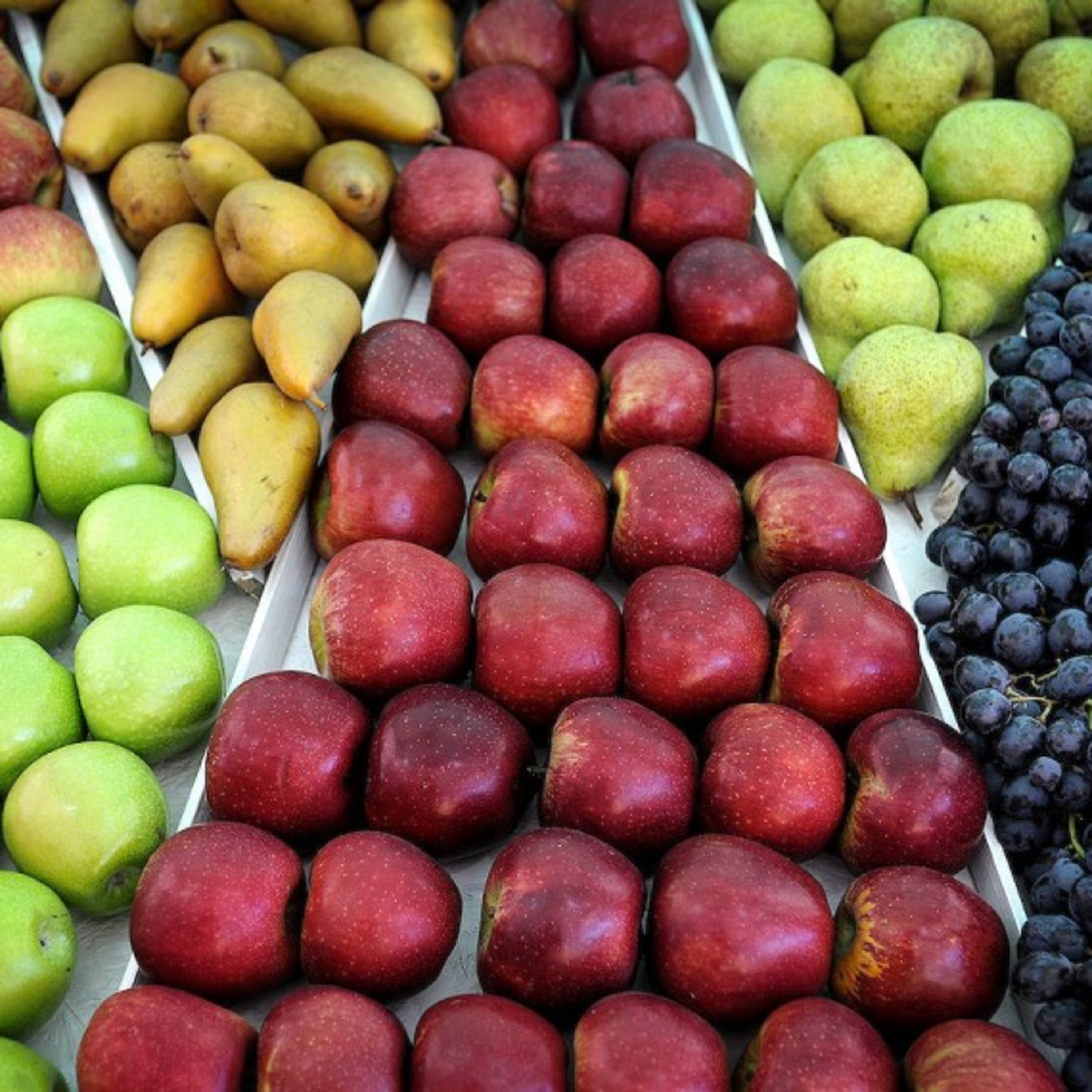 "La mala alimentación tiene nombre y apellido: son los ultraprocesados", dijo nutricionista episode artwork