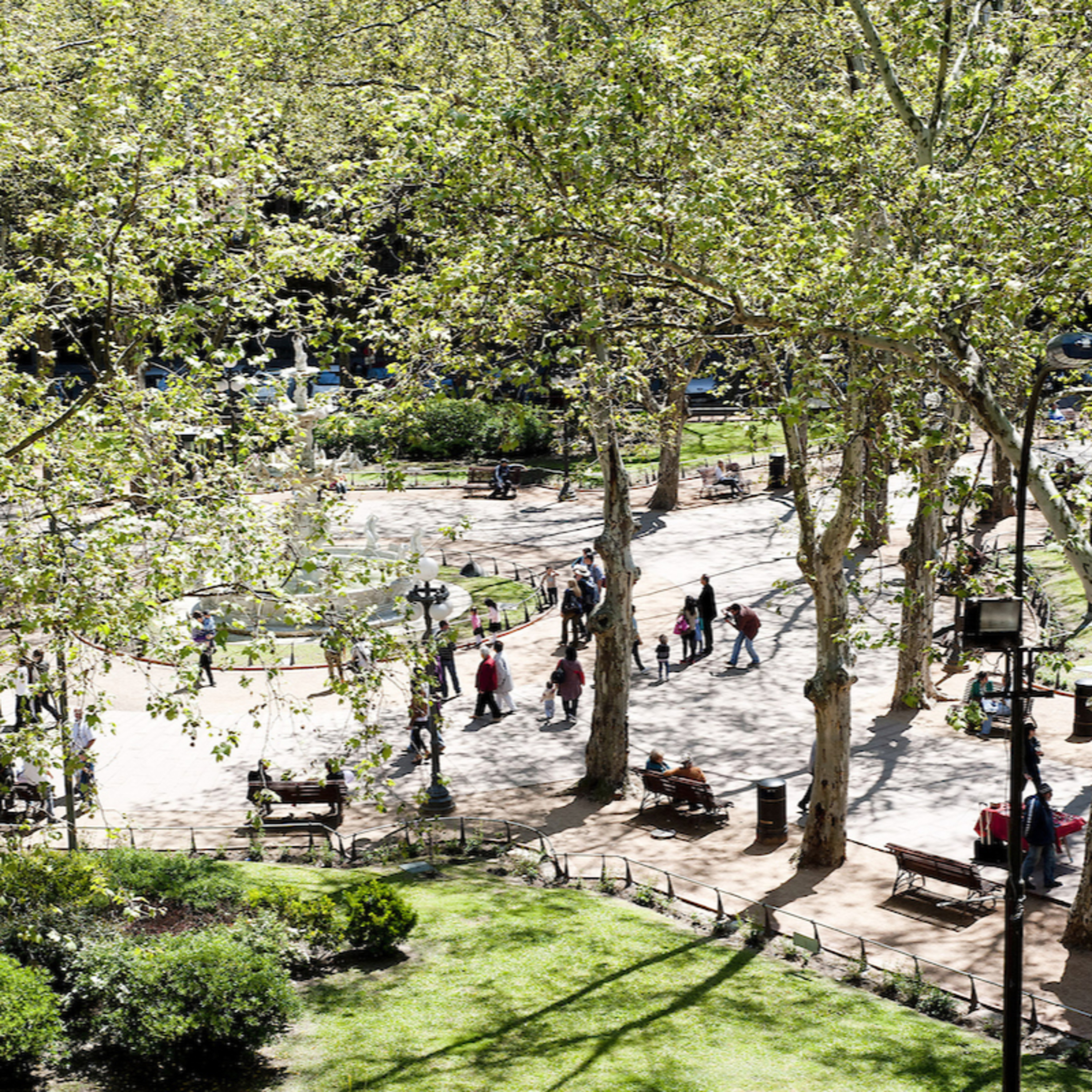 Plaza Constitución y el campanero de la Matriz episode artwork