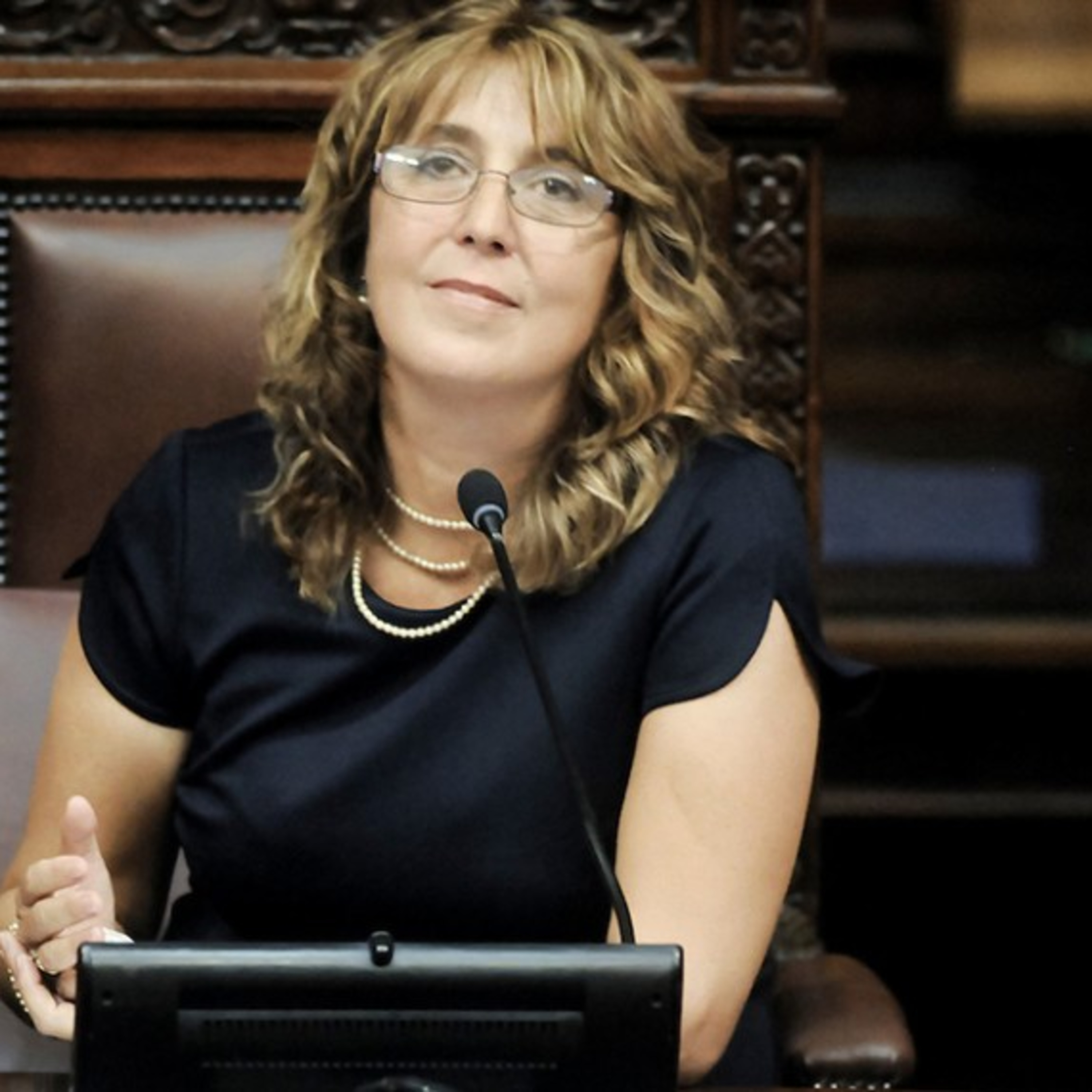 El gobierno pretende influir en elección departamental, afirmó Bottino episode artwork