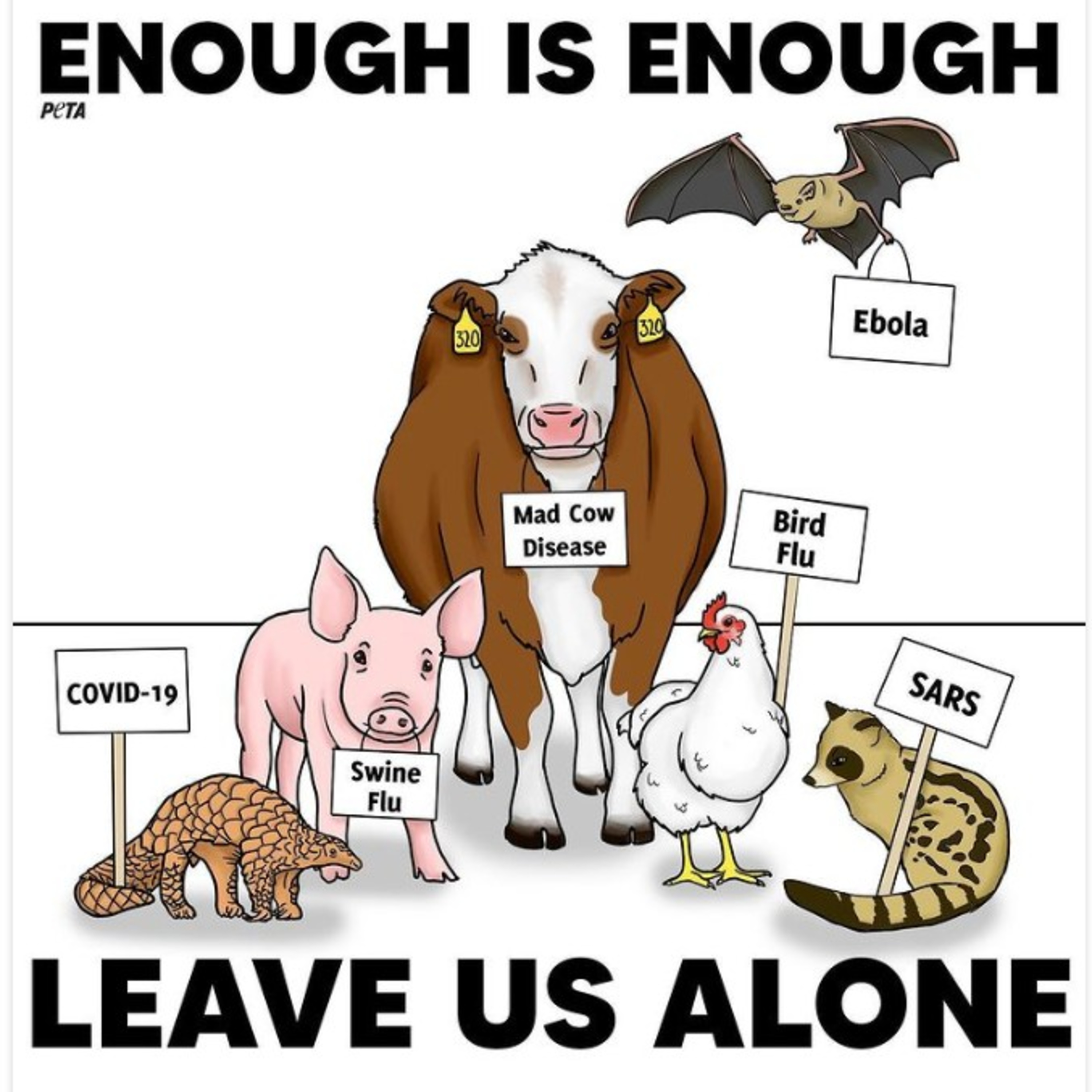 30yr. Meat eaters would die faster than cancer patients episode artwork