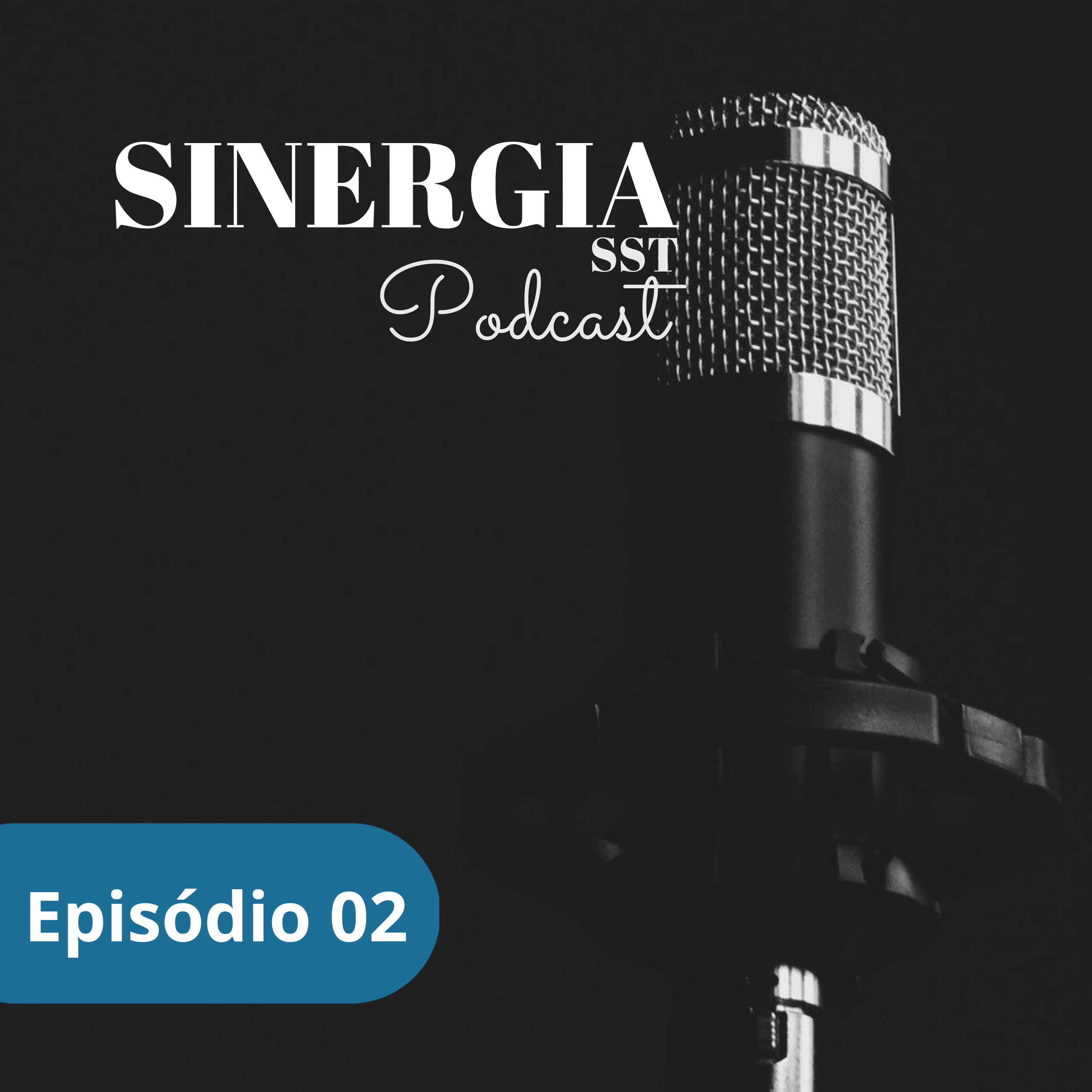 SINERGIA SST
