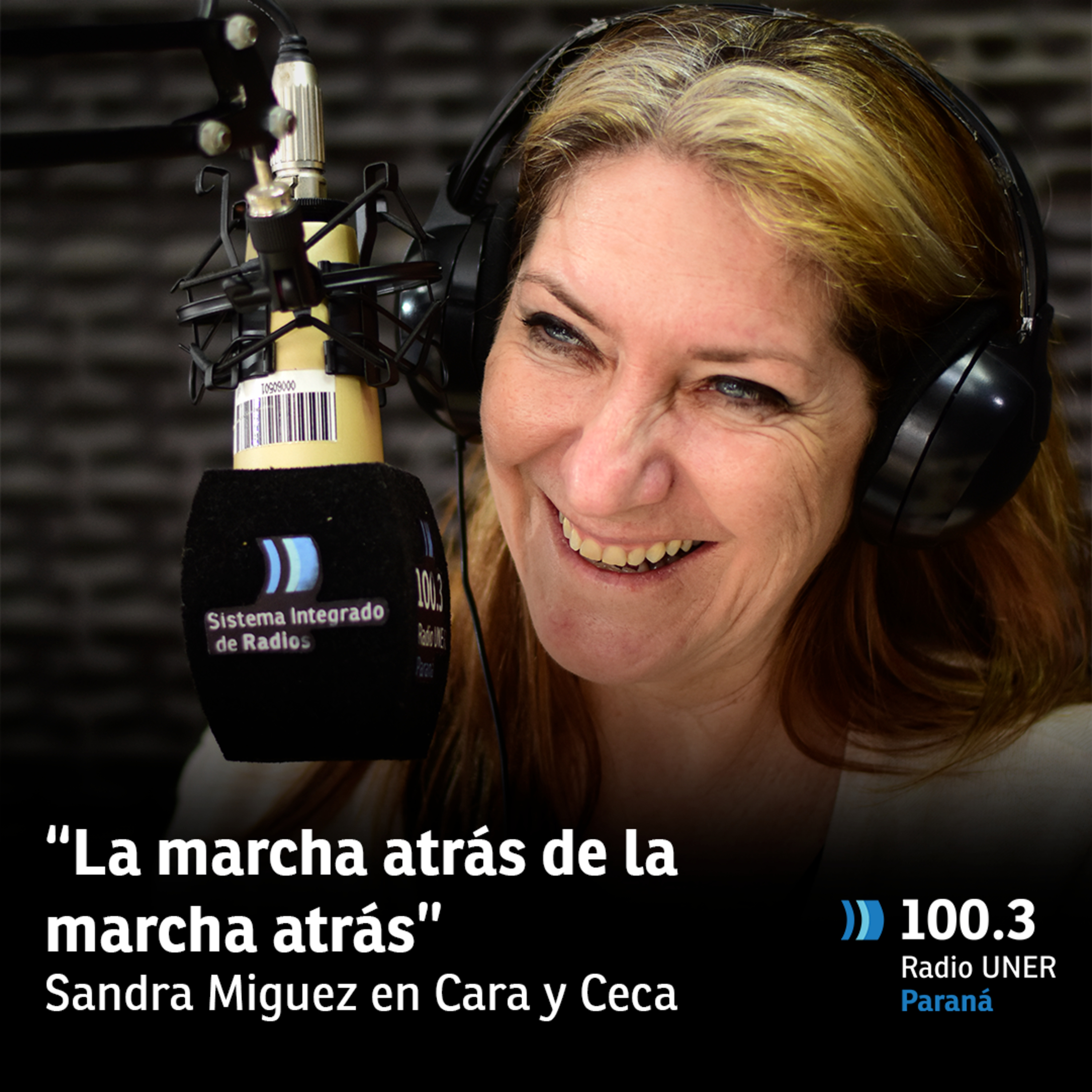 #CaraYCeca: "La marcha atrás de la marcha atrás" por Sandra Miguez  episode artwork
